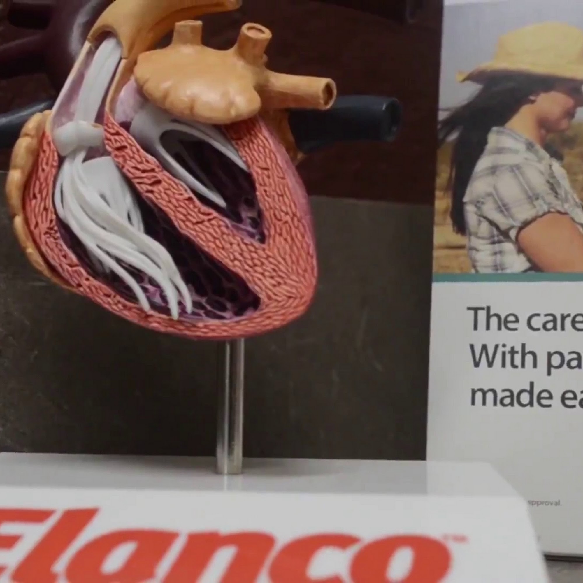 River Valley Animal Hospital Barling