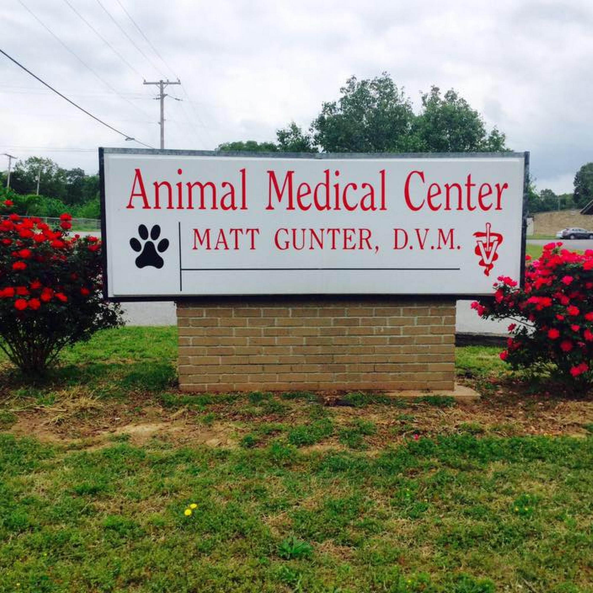 Animal Medical Center-Batesville Batesville