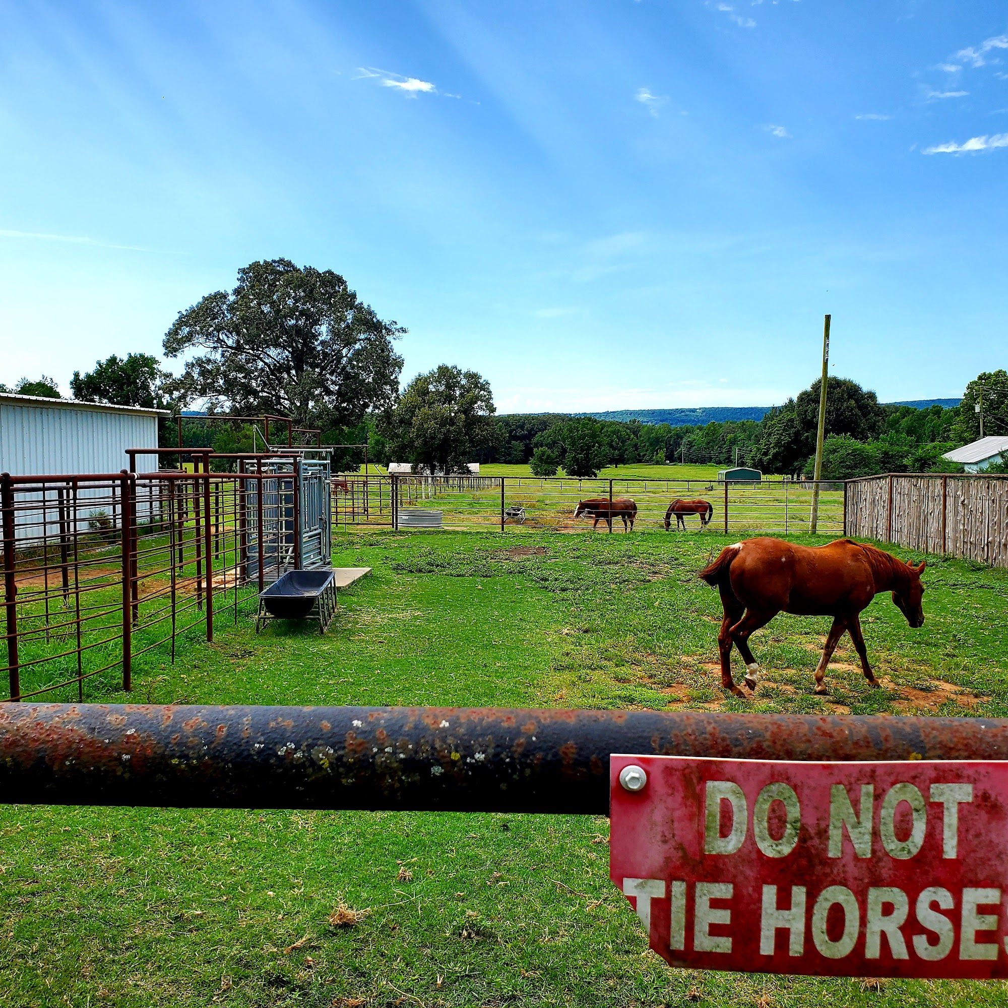Hopkins Veterinary Services Inc Batesville