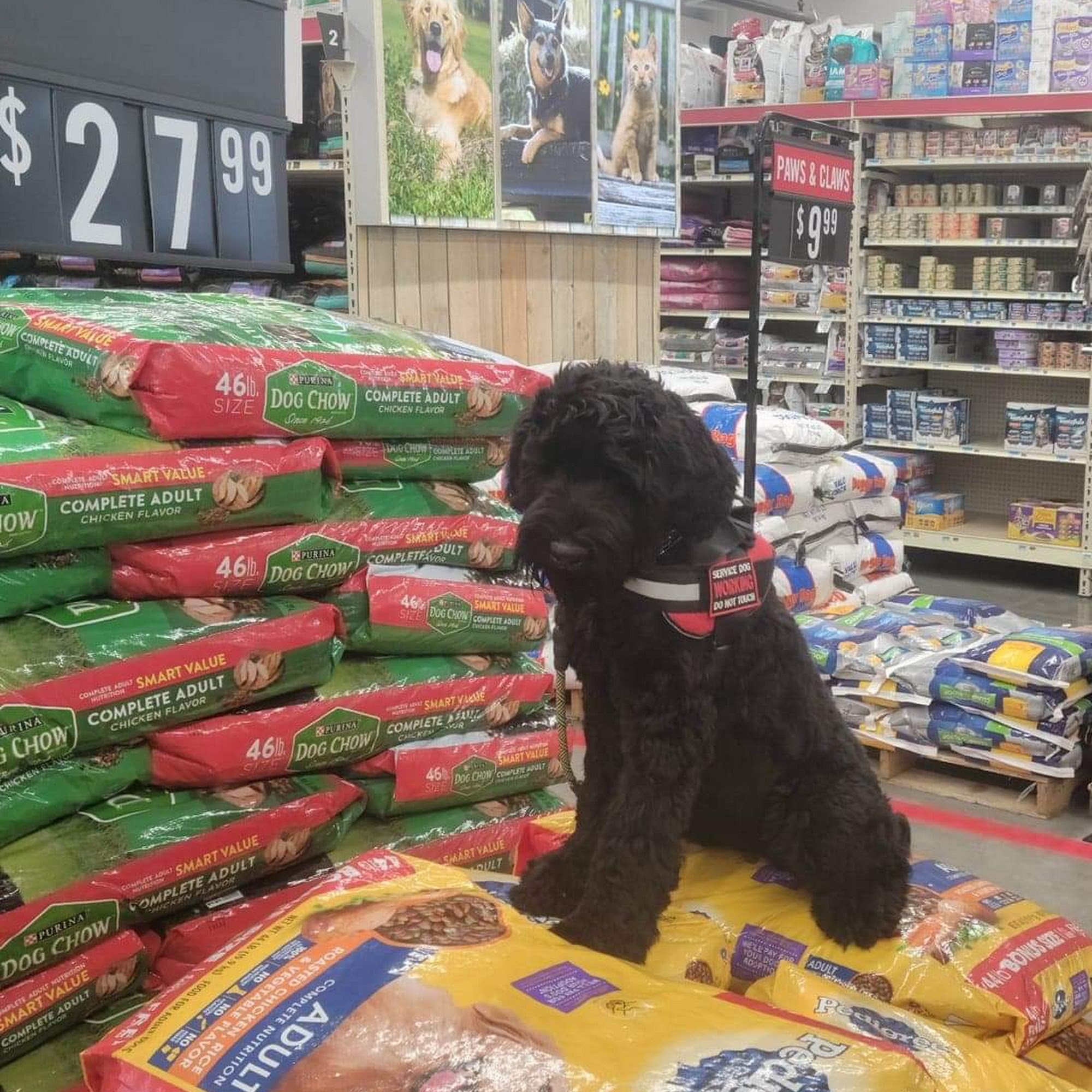 Tractor Supply Co. Beebe