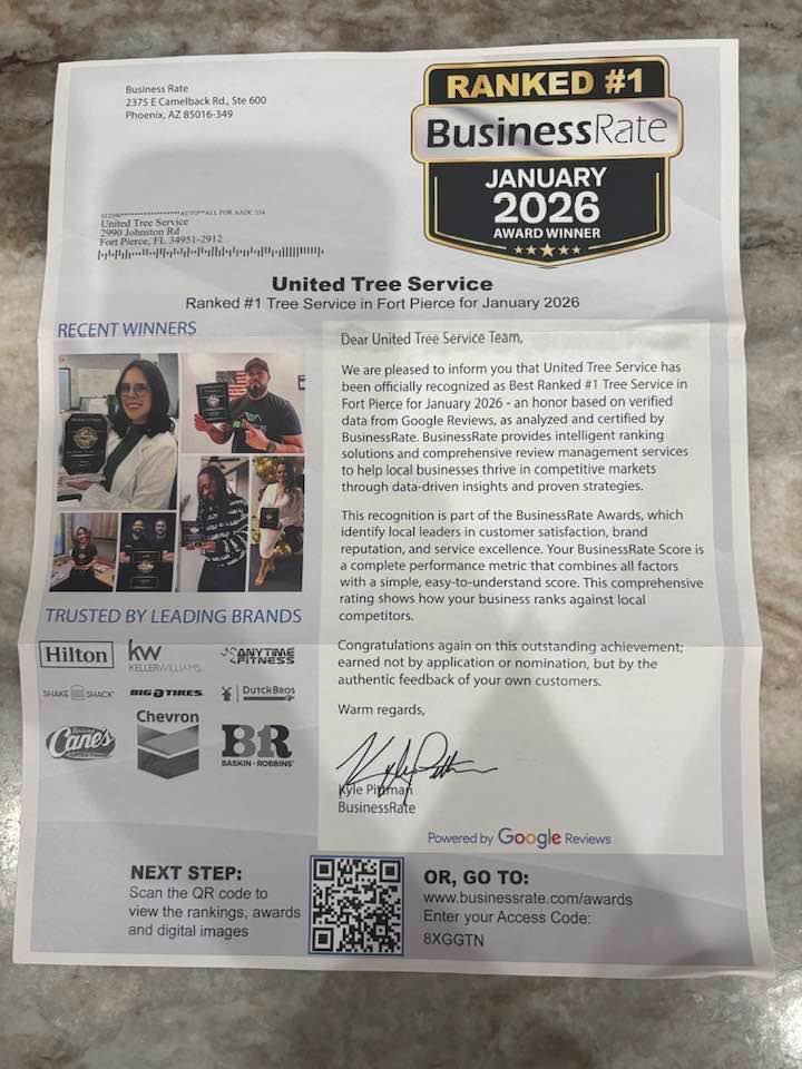 Airborne Tree Service