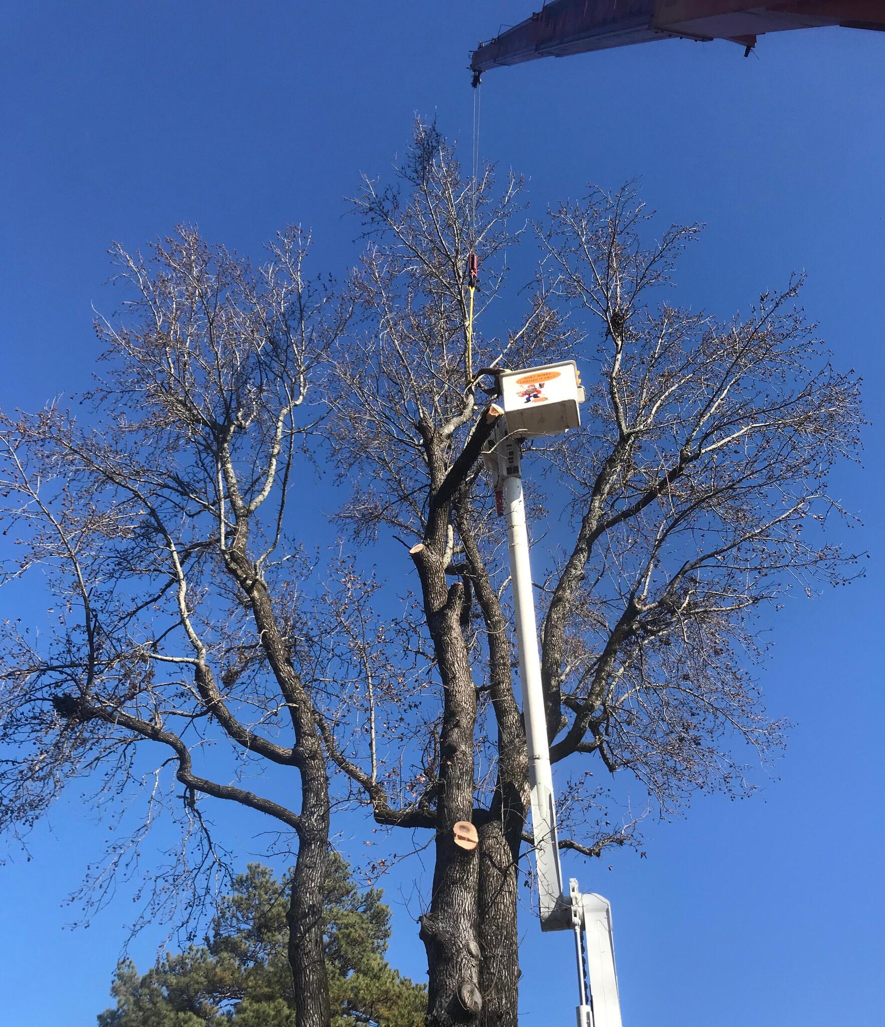 Photo credit: nextdoor