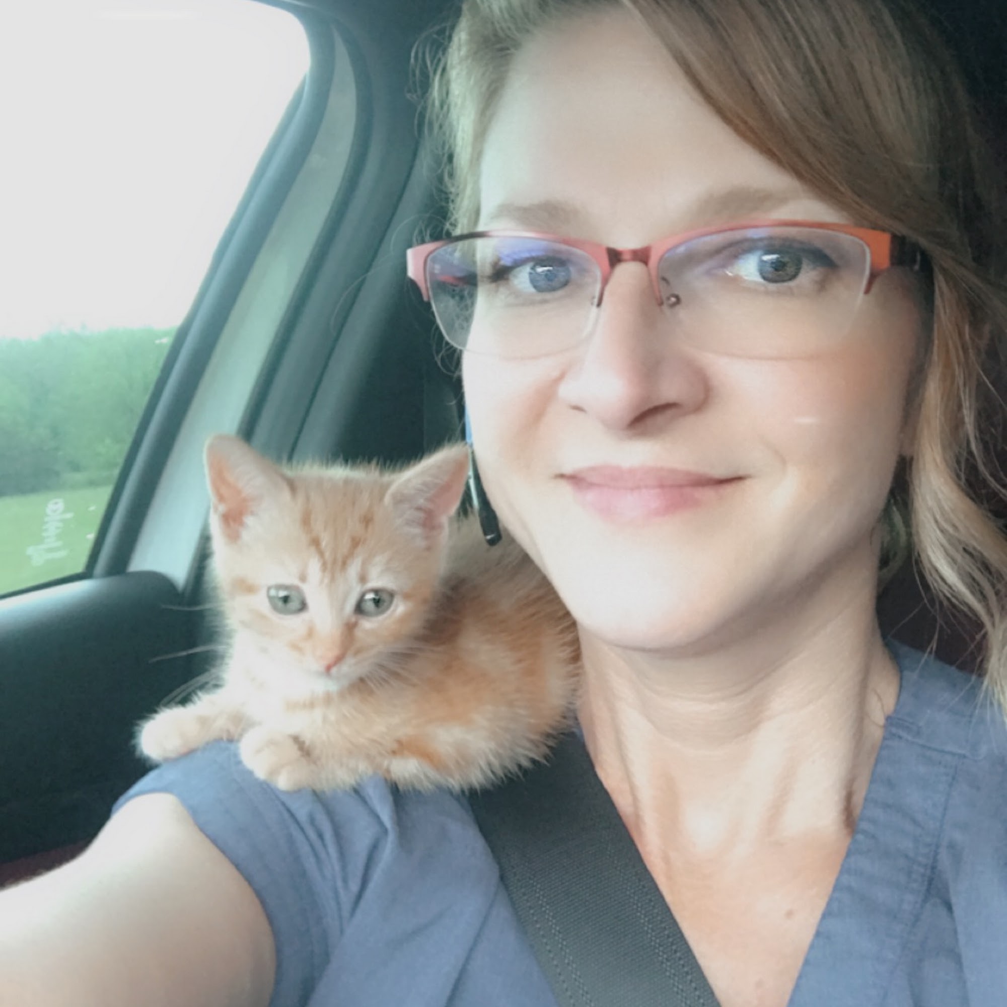 Oakwood Pet Hospital Bentonville