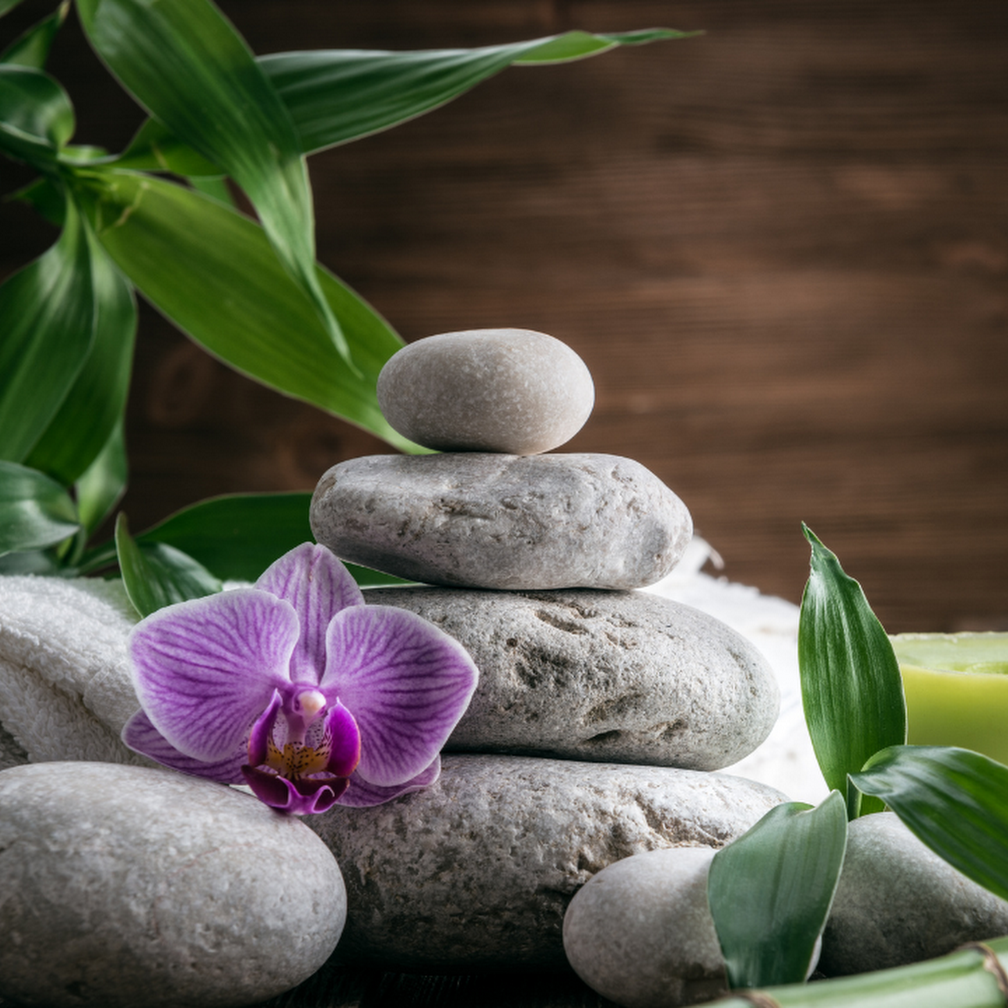 Golden Massage 2204 SE 14th St, Bentonville Arkansas 72712