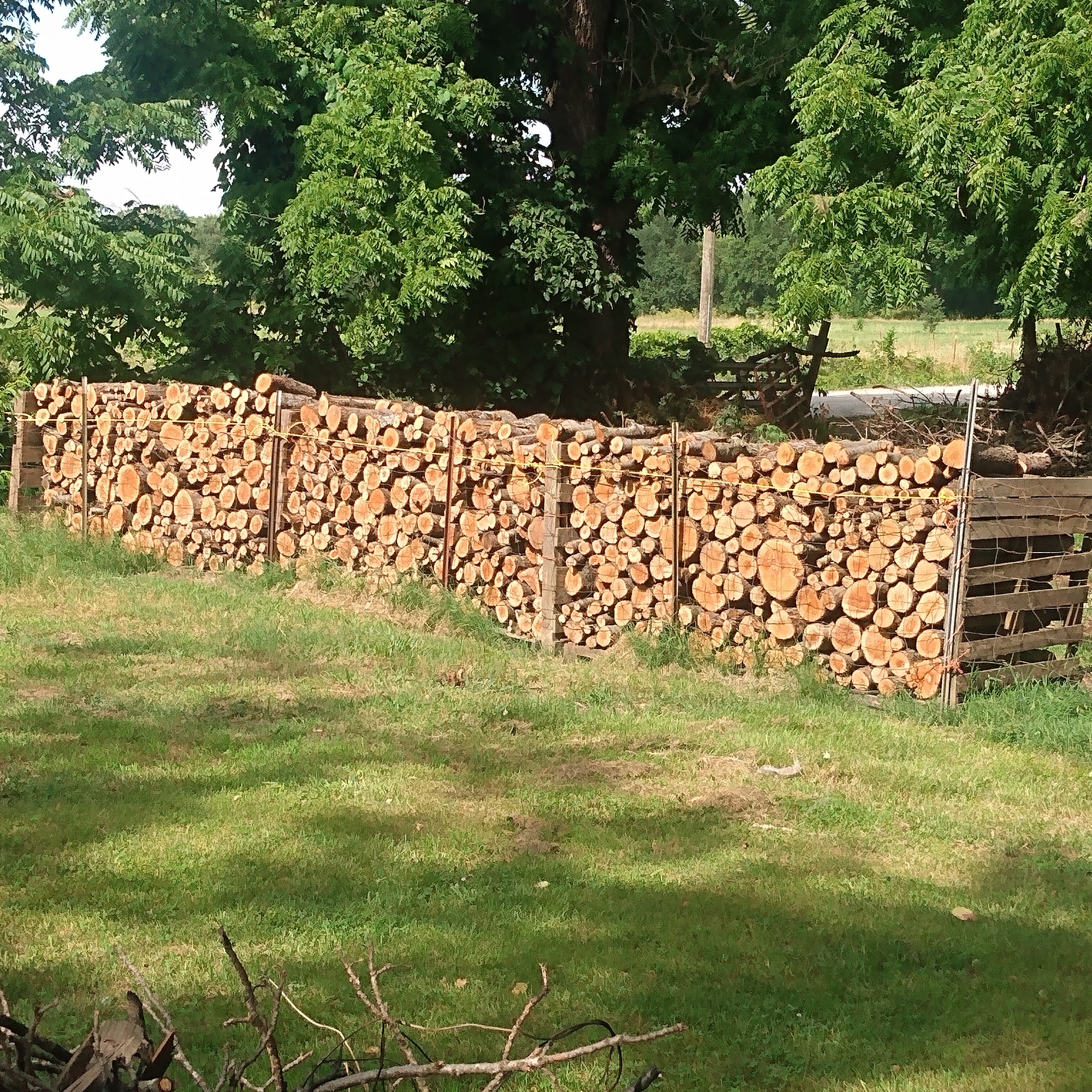 CJ Farm's Rabbity & More Bentonville