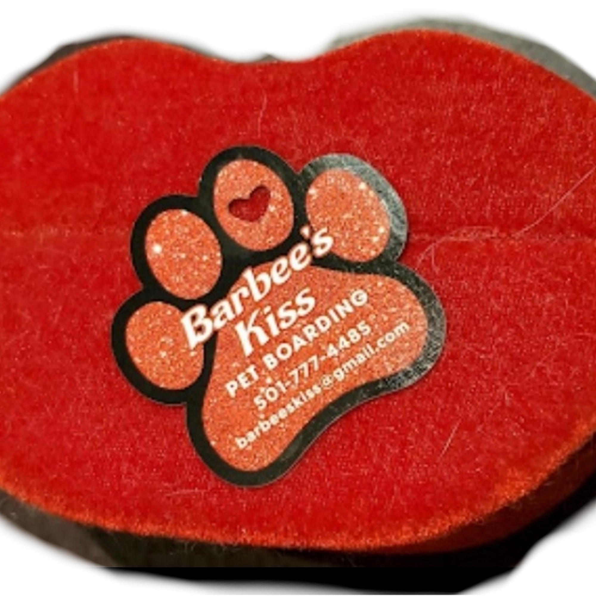 Barbee's Kiss Cat Boarding Bryant