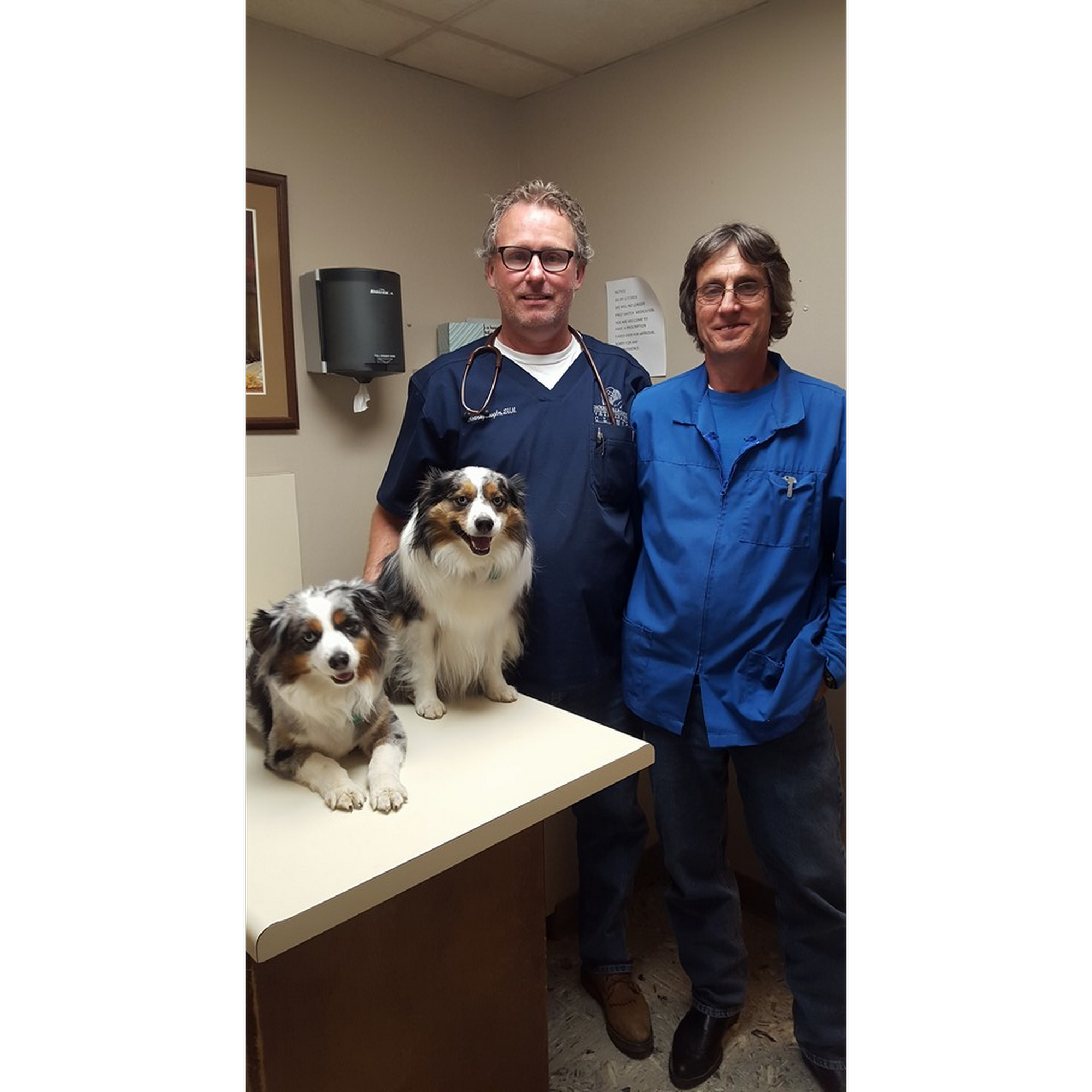 jacksonville- cabot veterinary clinic Cabot