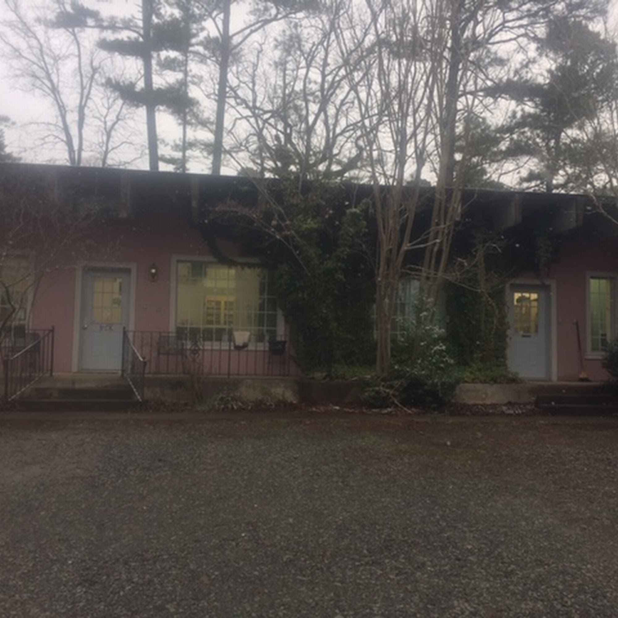 Van Buren County Veterinary Clinic Clinton