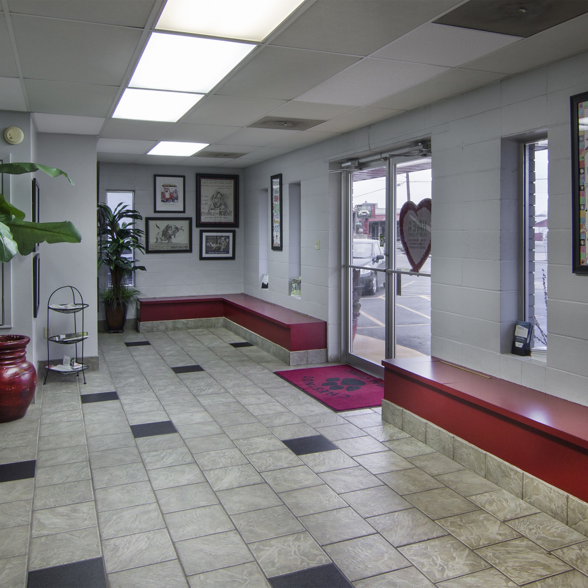 Chestnut Animal Clinic Conway