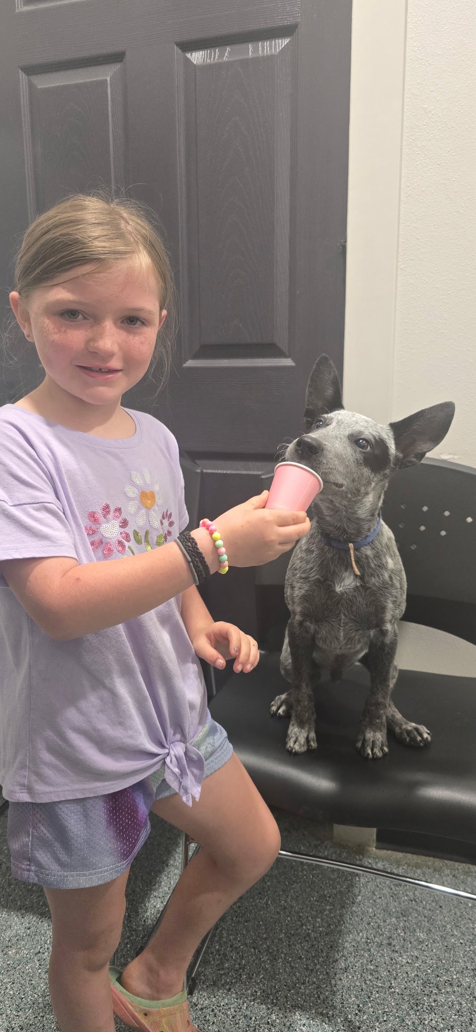 Good Shepherd Animal Clinic | Dr. Lori Smith DVM | Conway Conway