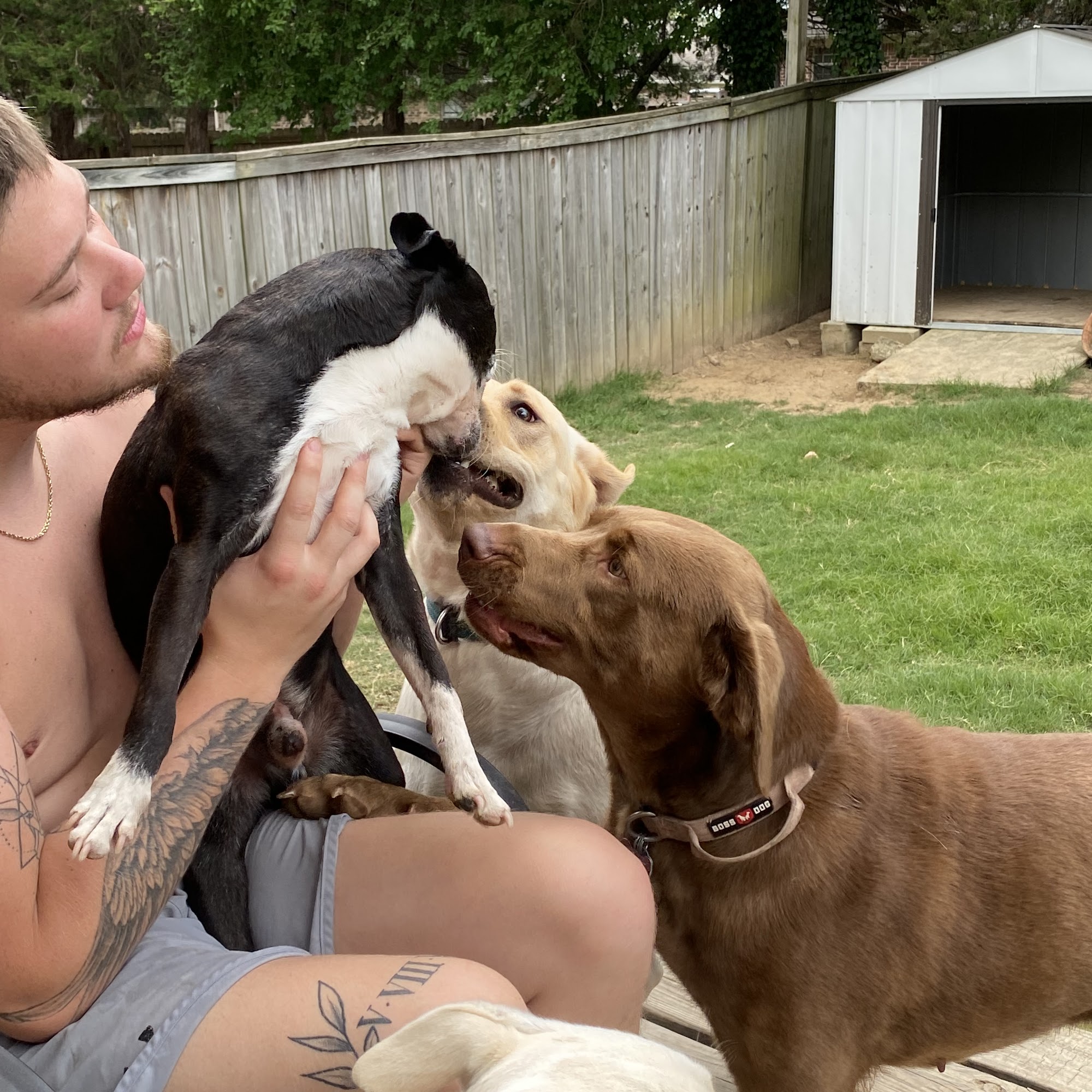 FURever Together LLC Conway