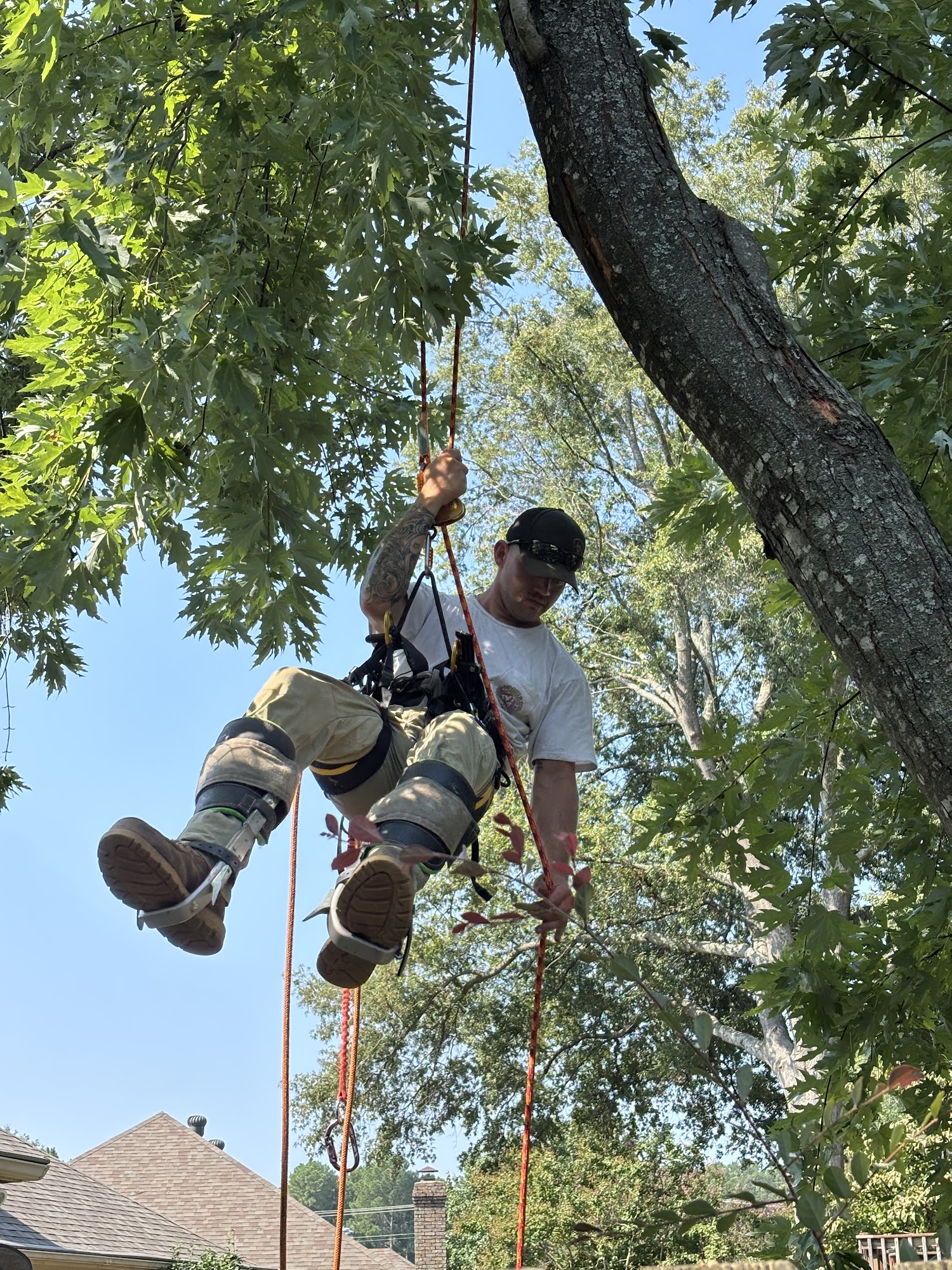 Castleberry Tree Service 24 Earl Dr, Conway Arkansas 72032