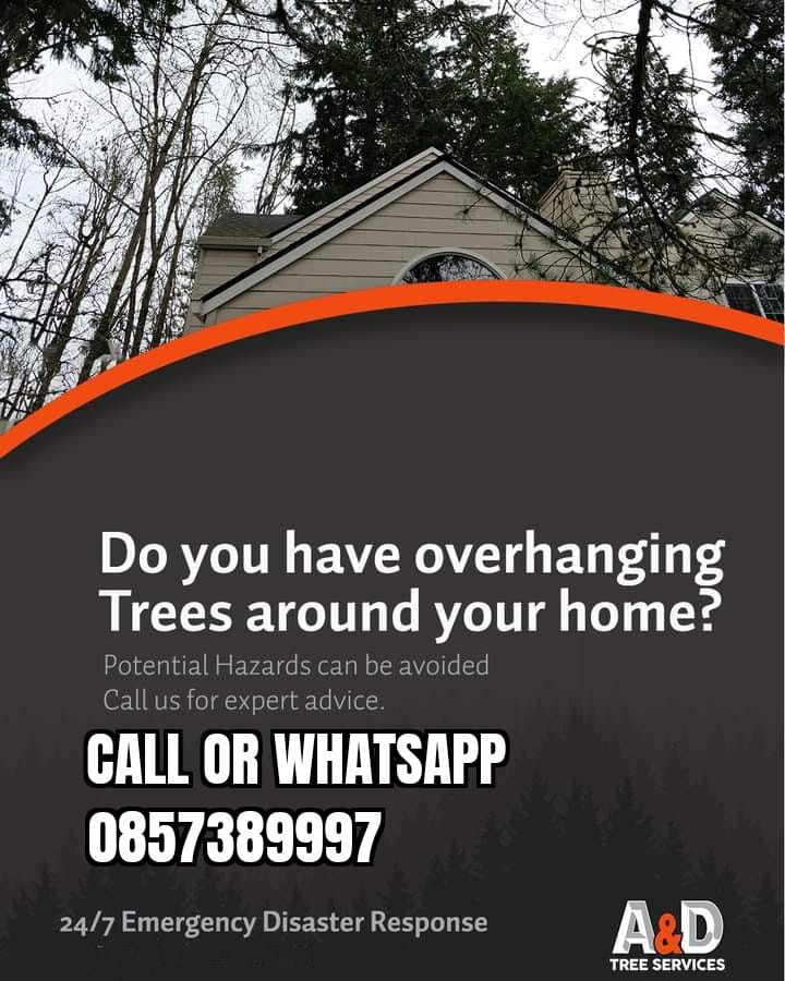 A & D Tree Service and Lawn Care