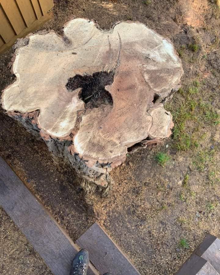 A & D Tree Service and Lawn Care
