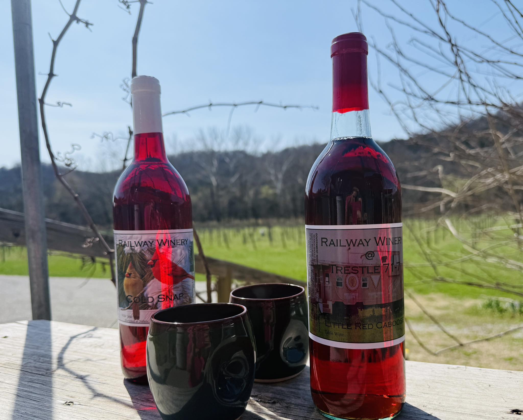 Railway Winery & Vineyards Eureka Springs