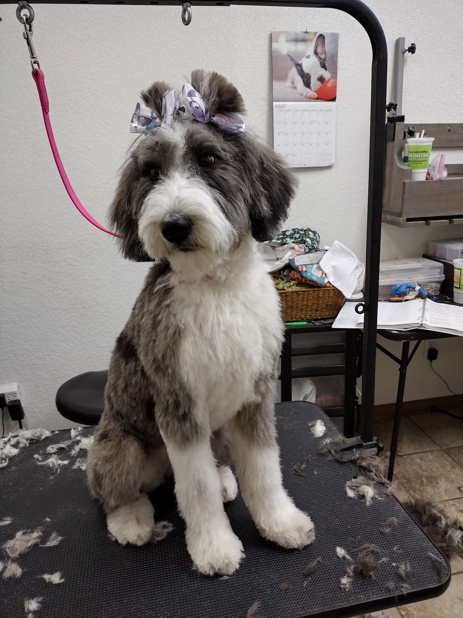Wag'n Tails Pet Salon Farmington