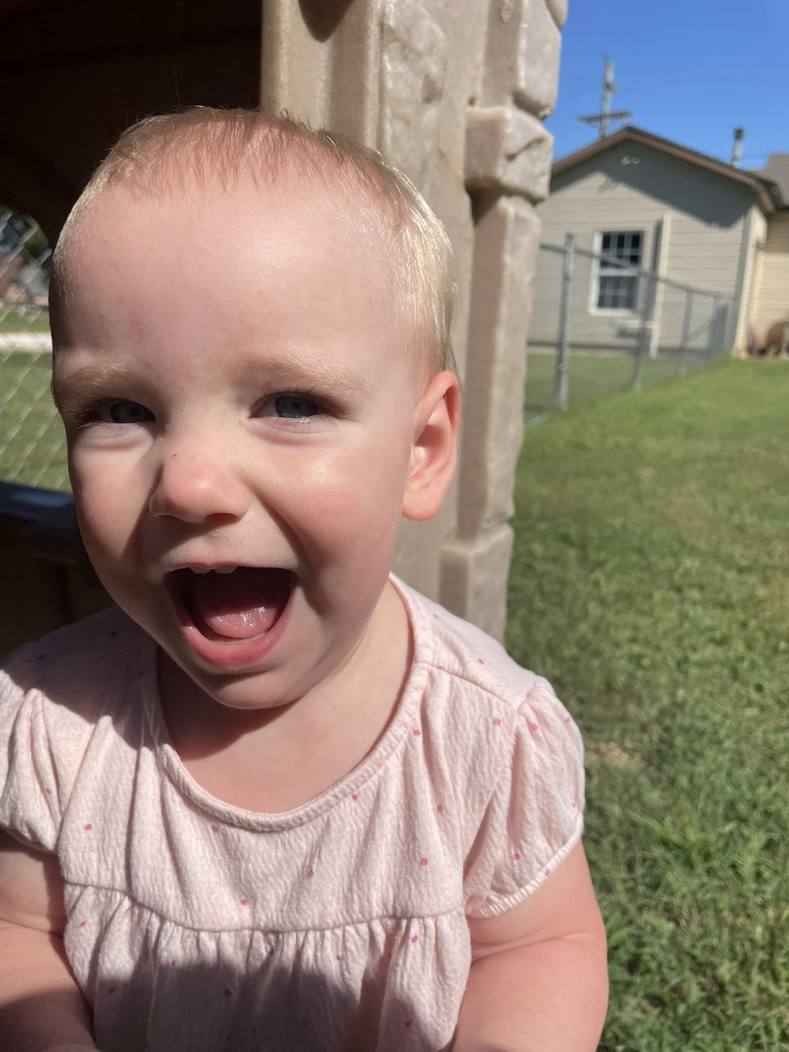 Learn & Play After School 323 Willow Ave, Farmington Arkansas 72730