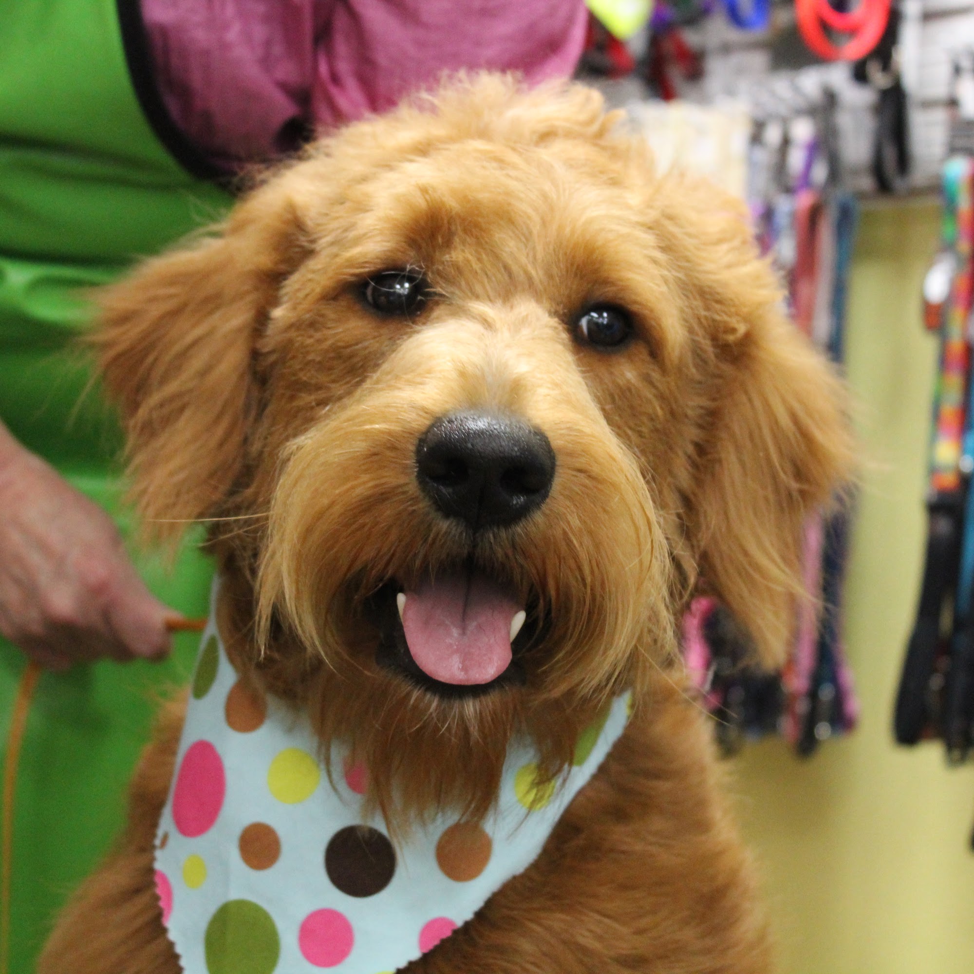 Barkberry Fayetteville