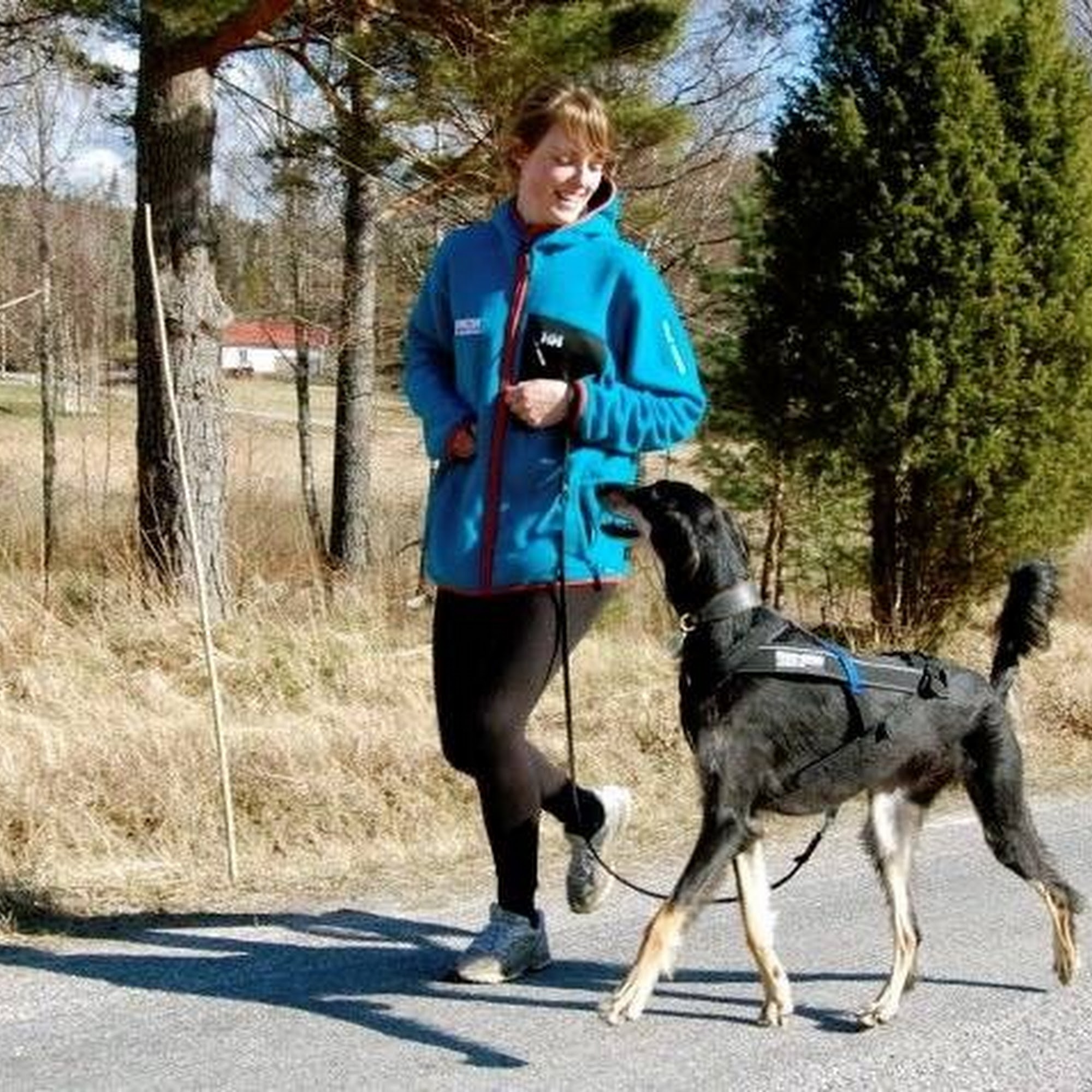 Solgave Animal Solutions - Pet Sitting, Dog Walking and Professional House Sitters Fayetteville