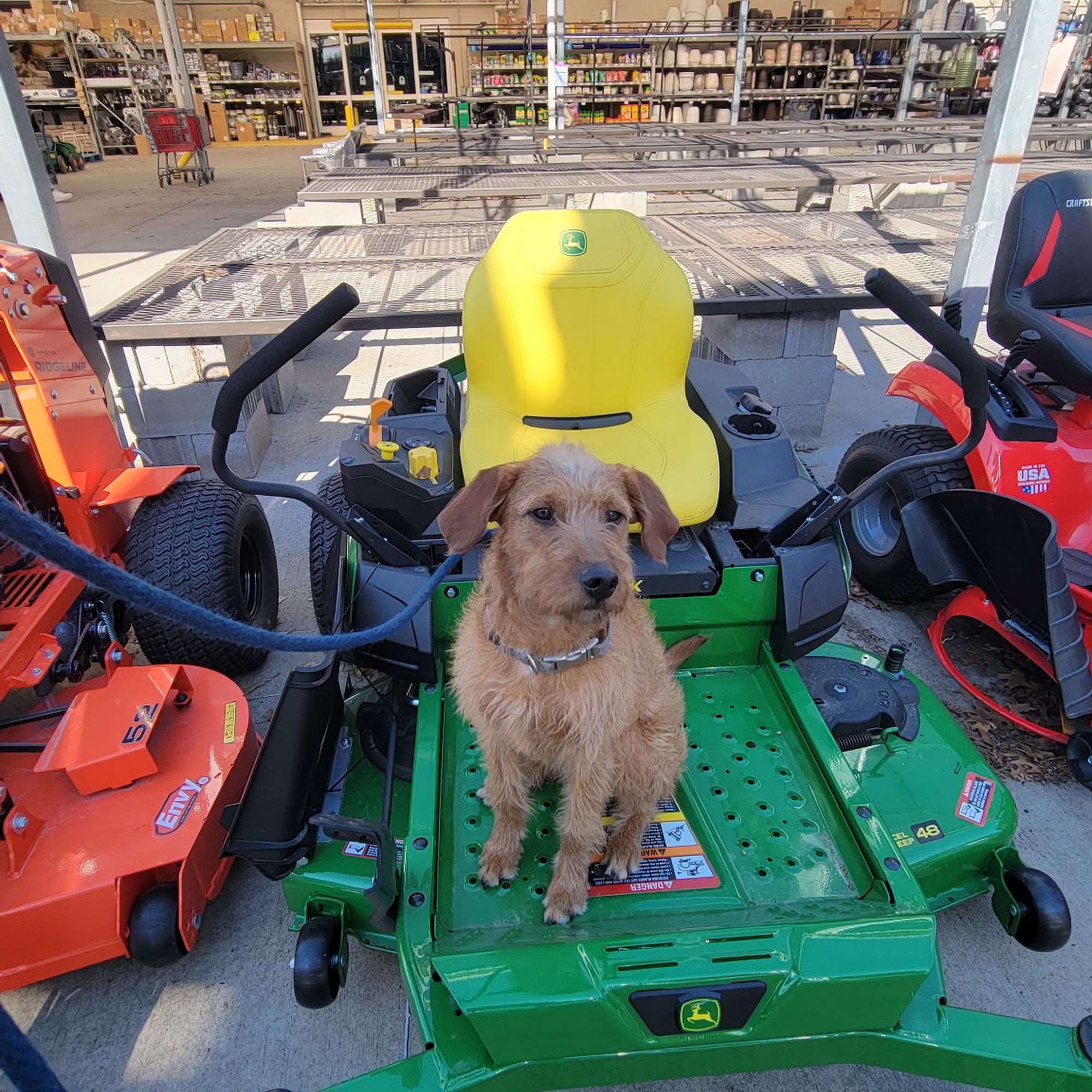 Big Paws of the Ozarks Fayetteville