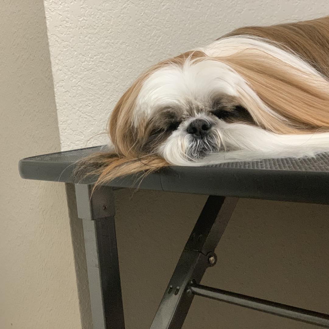 ROVER VALLEY NATURAL PET Fort Smith