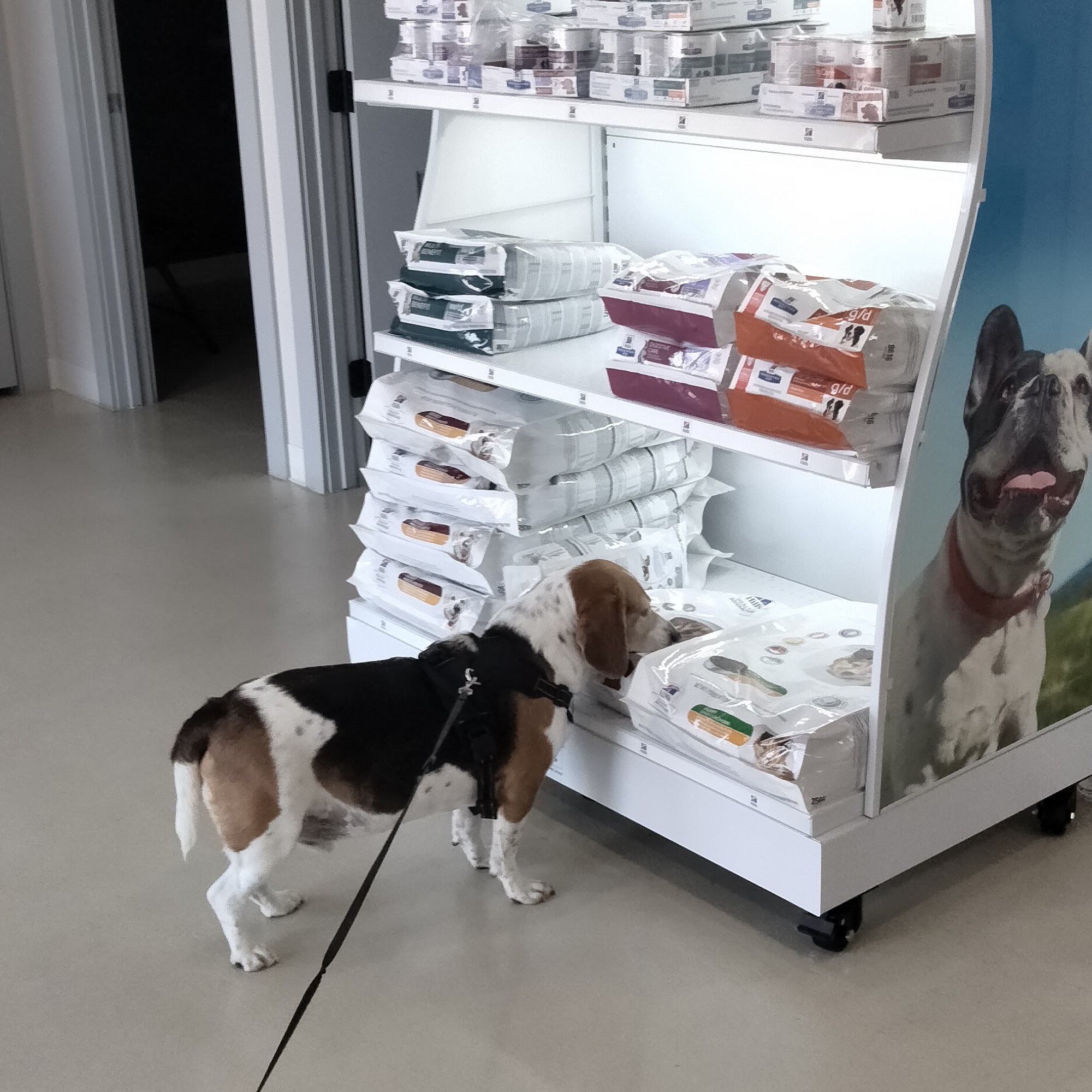 Chaffee Veterinary Clinic Fort Smith