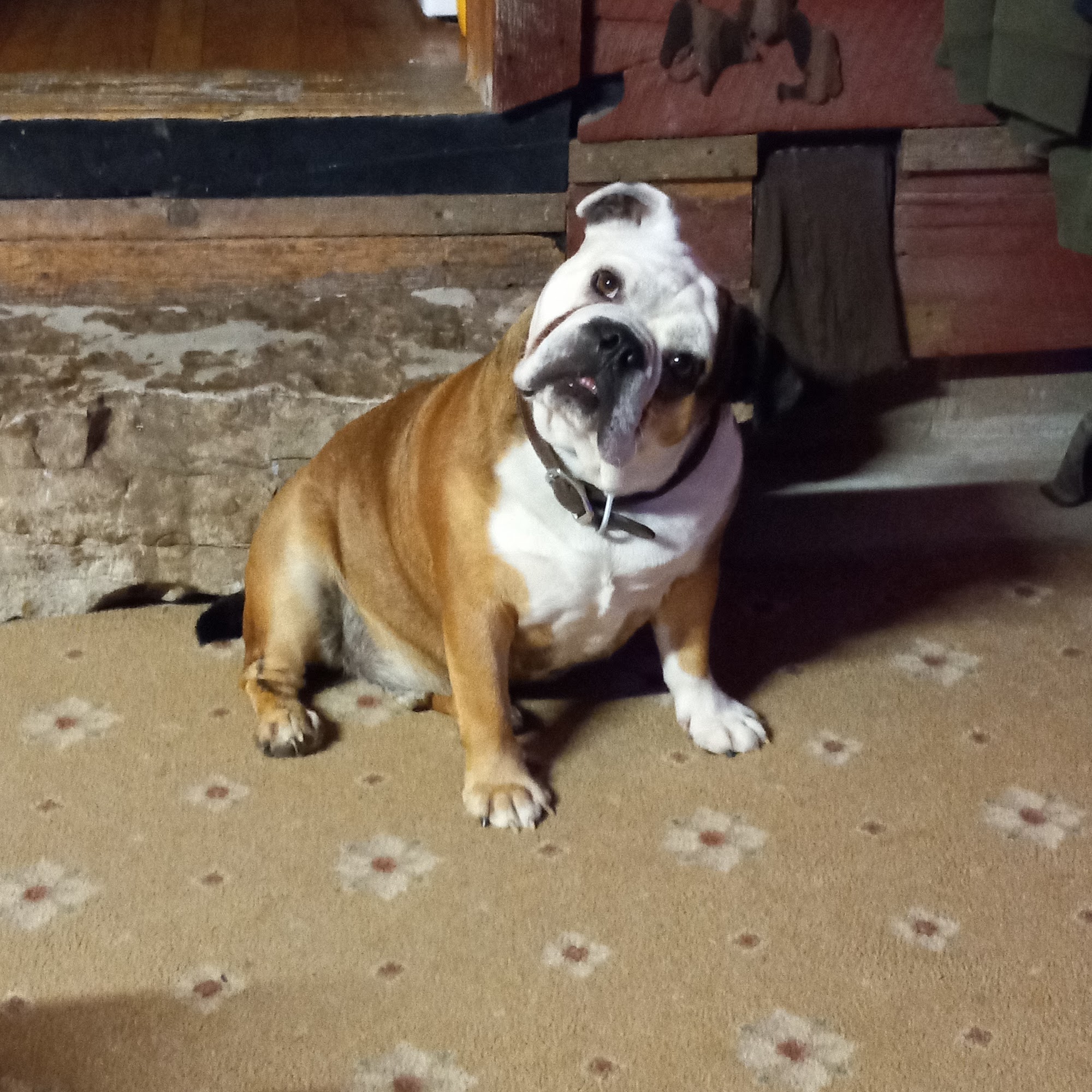 Gentry Veterinary Clinic Gentry