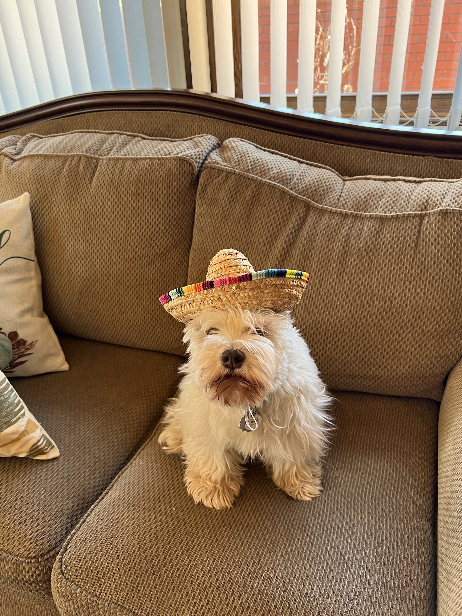 Marcy's Grooming & Boarding Gentry