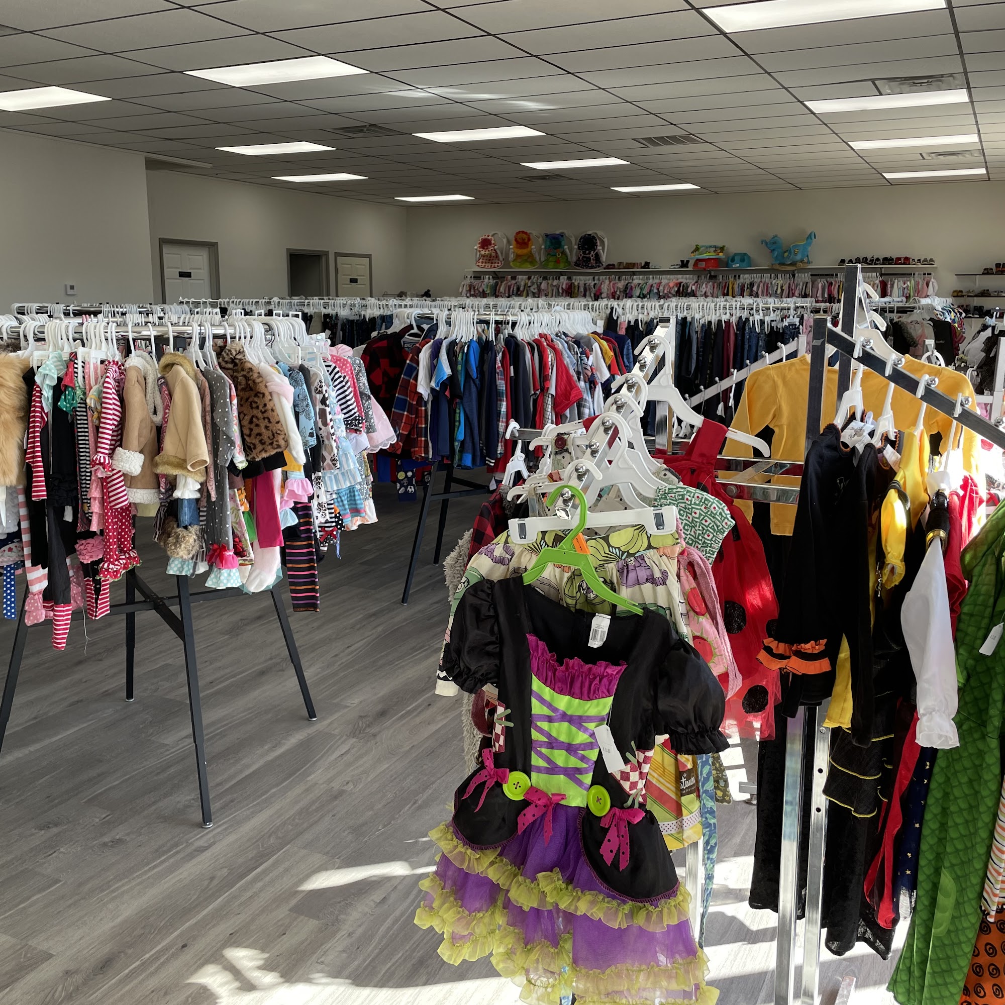 A LITTLE LOVED Gentry