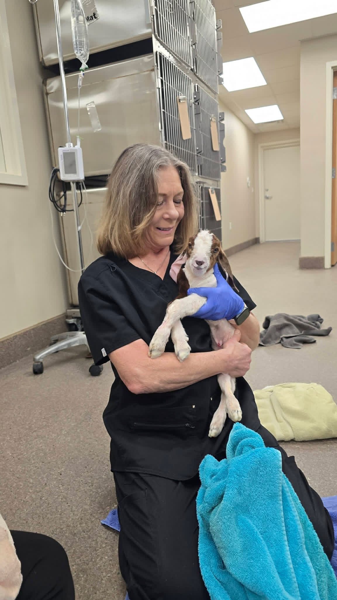 Cadron Creek Veterinary Clinic Greenbrier