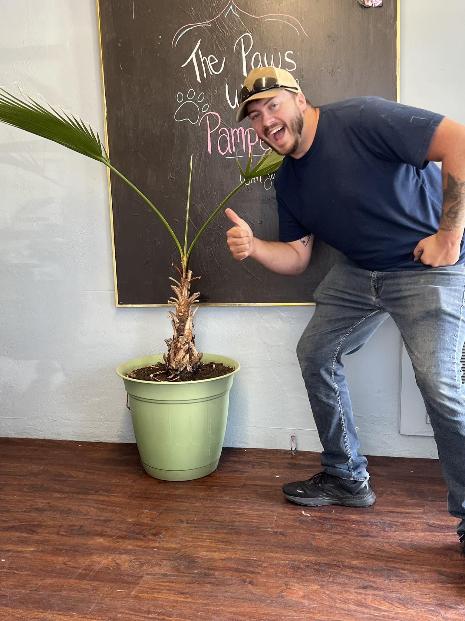 Pampered Paws Grooming Harrison