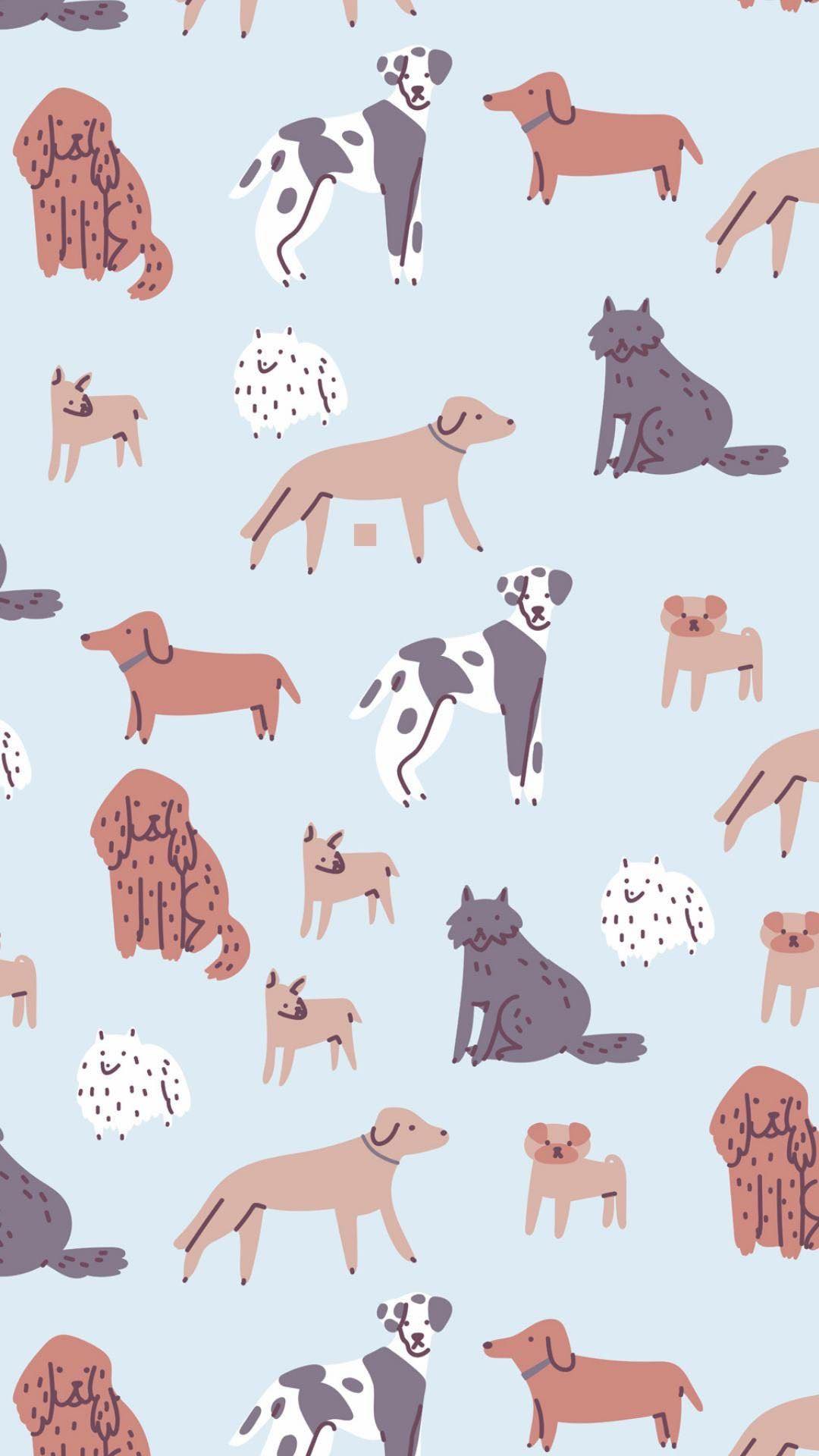 Lucky Paws Pet Grooming Heber Springs