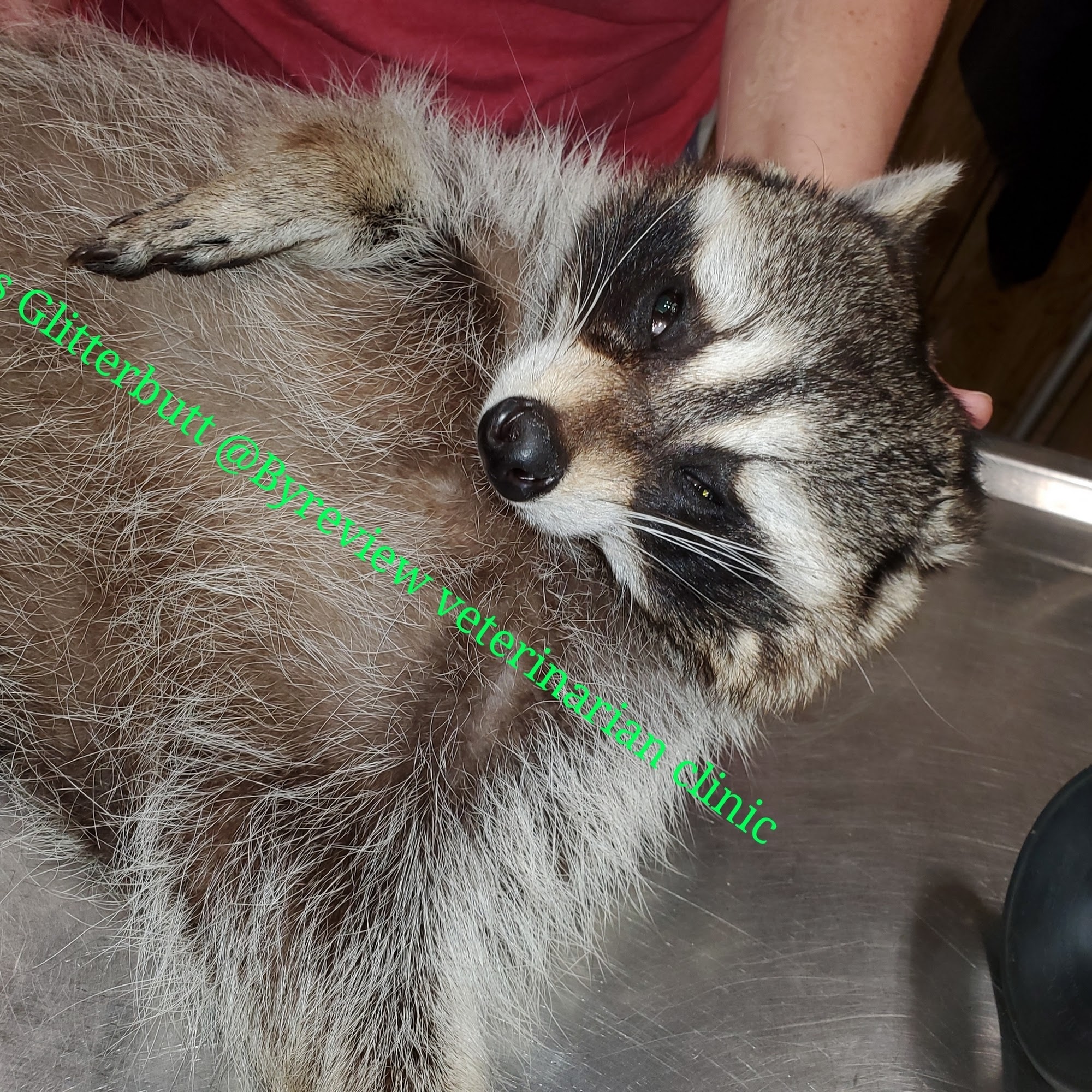 Byreview Veterinary Clinic Hope