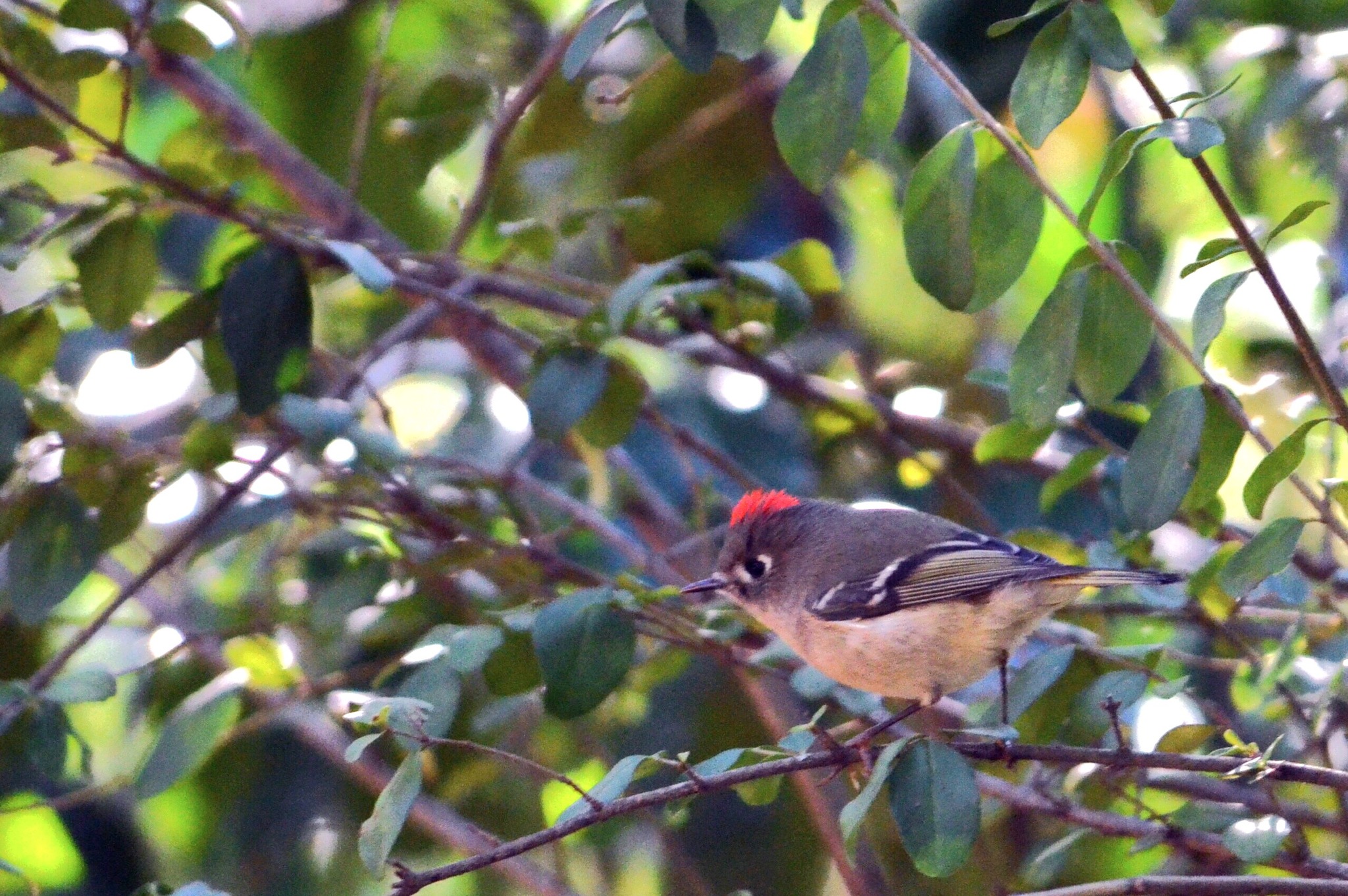 Hot Springs National Park Hot Springs