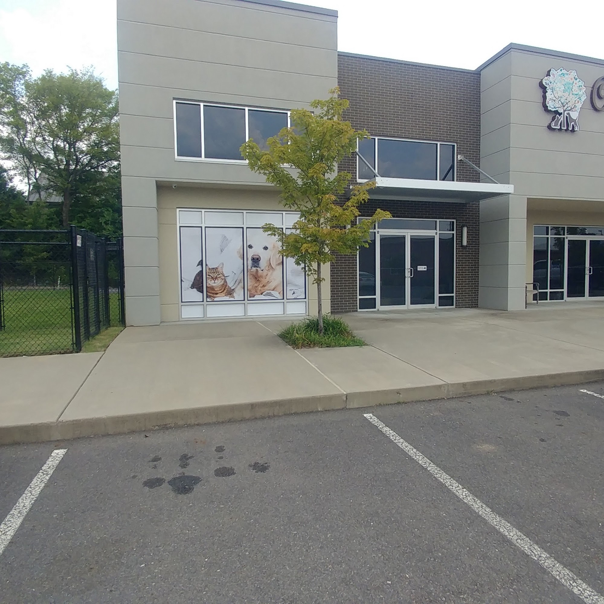 Countryside Animal Hospital Hot Springs