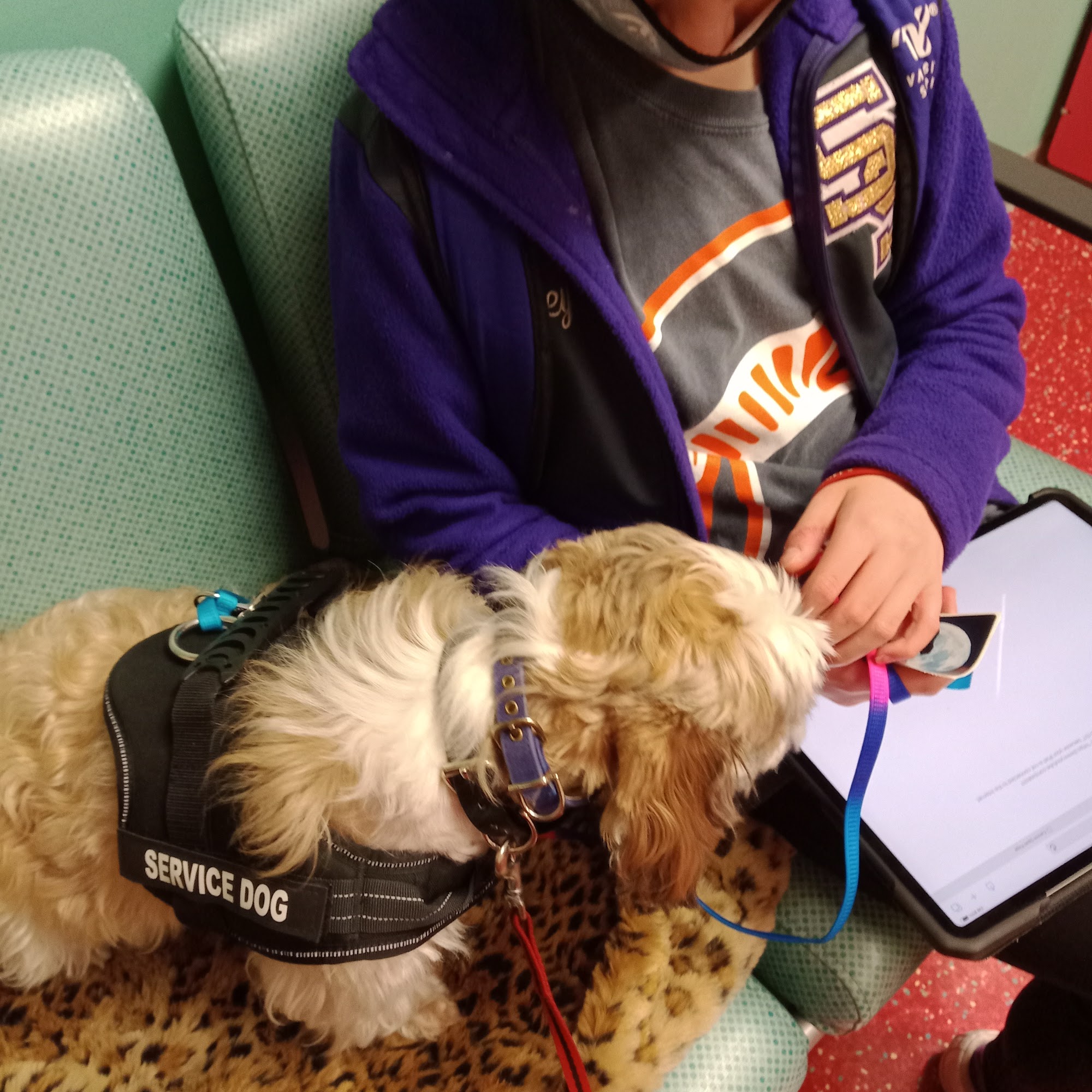 Temperance Hill Animal Hospital Hot Springs