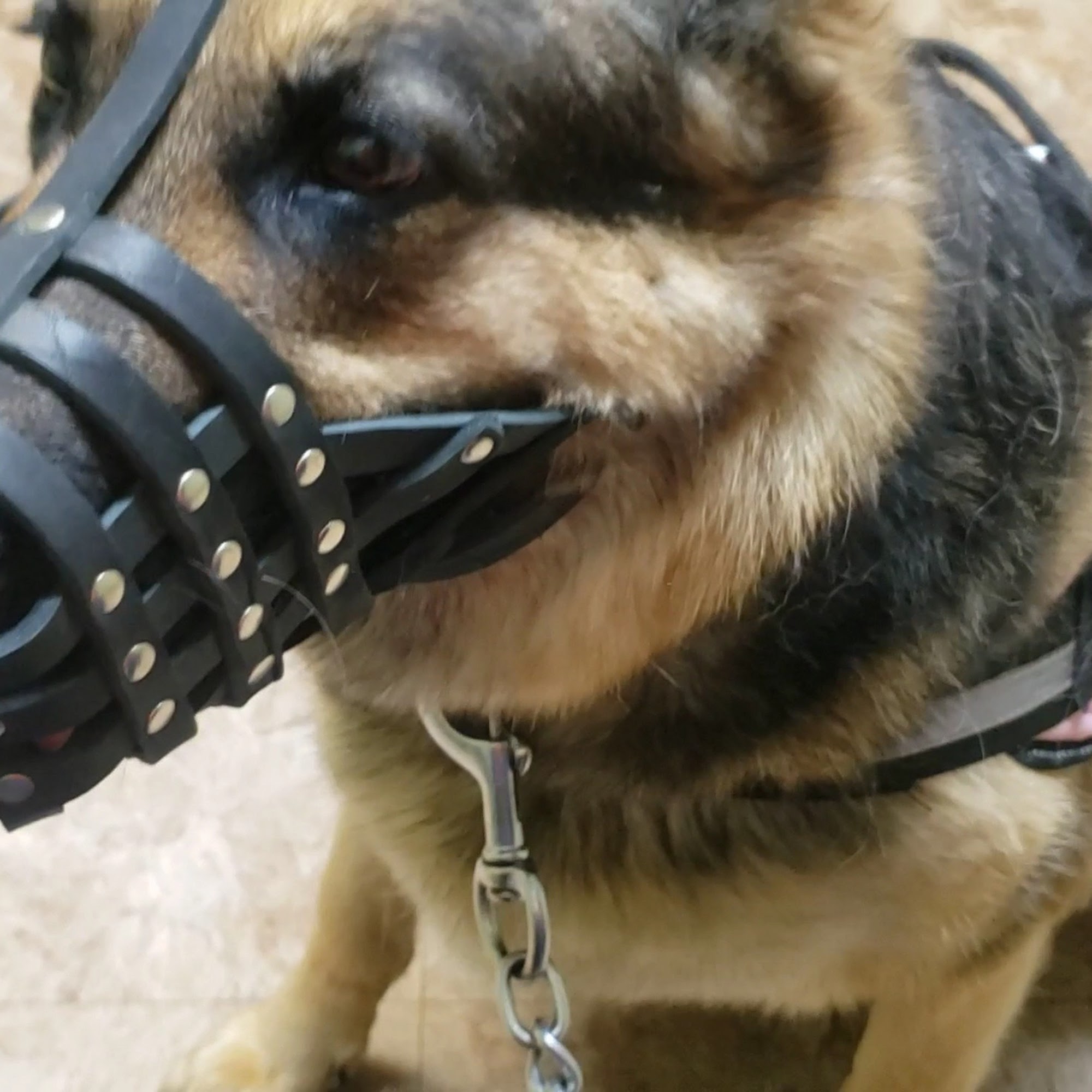 Airport Road Animal Hospital Hot Springs