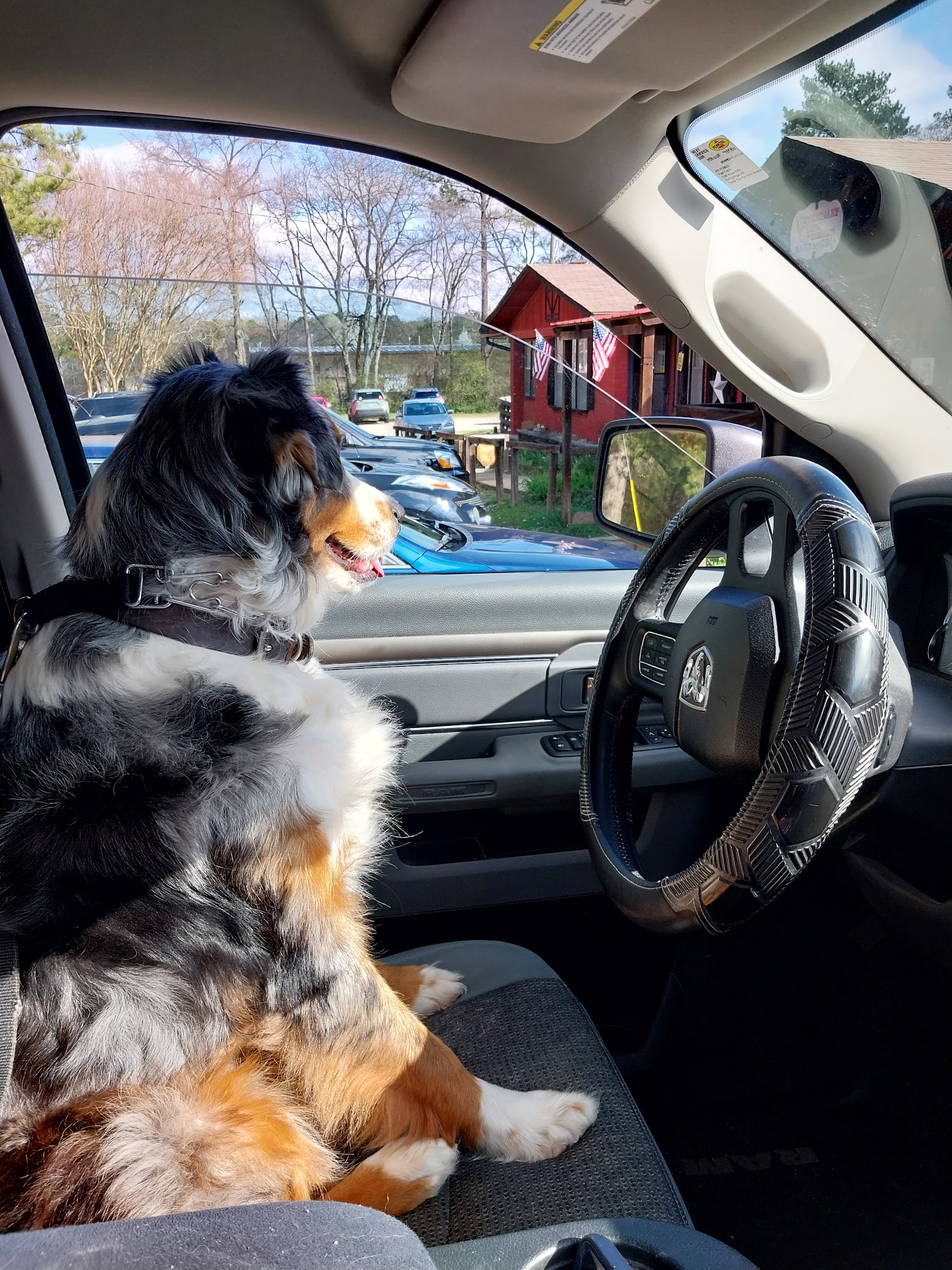 Fletcher Veterinary Clinic Hot Springs