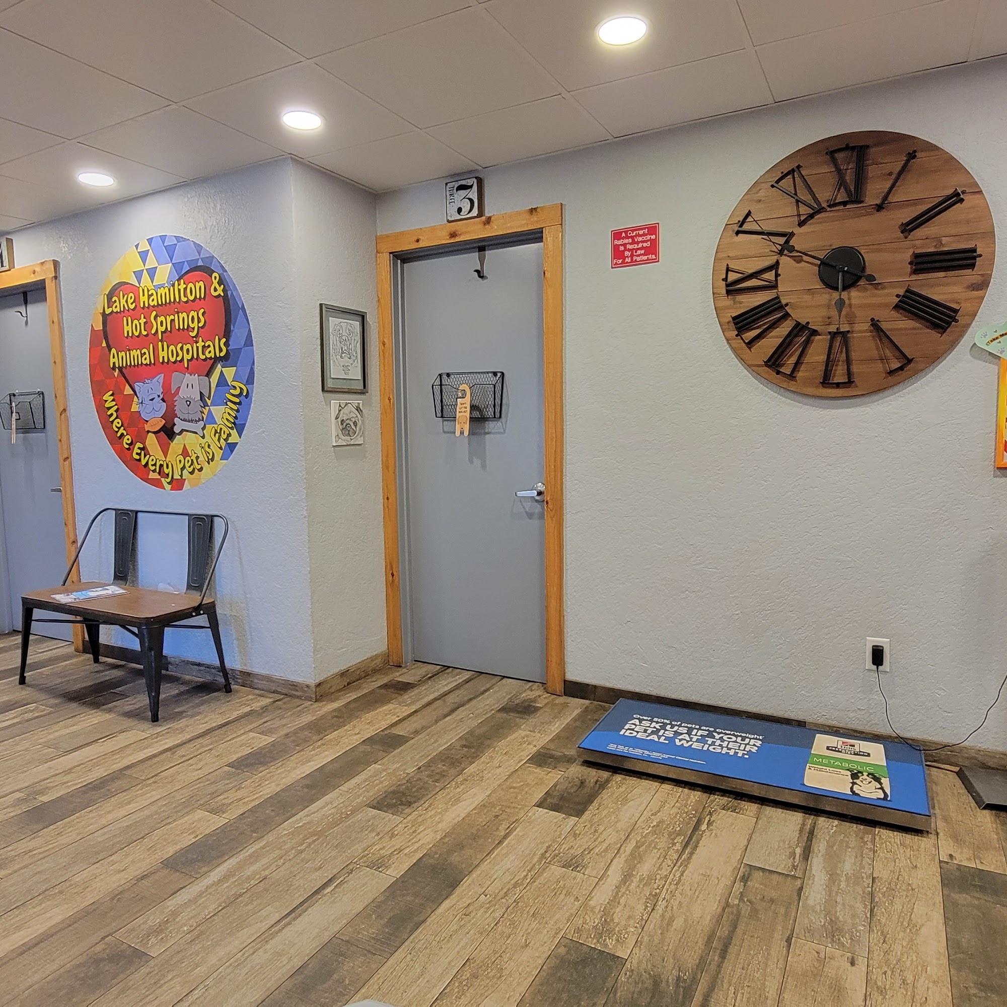 Lake Hamilton Animal Hospital: Kessler Stephanie DVM Hot Springs