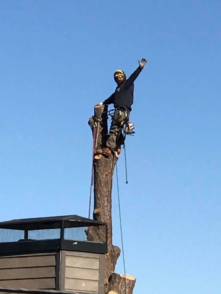 Aaron's No Problem Tree Service 601 Pitchercane Rd, Hot Springs, AR 71901