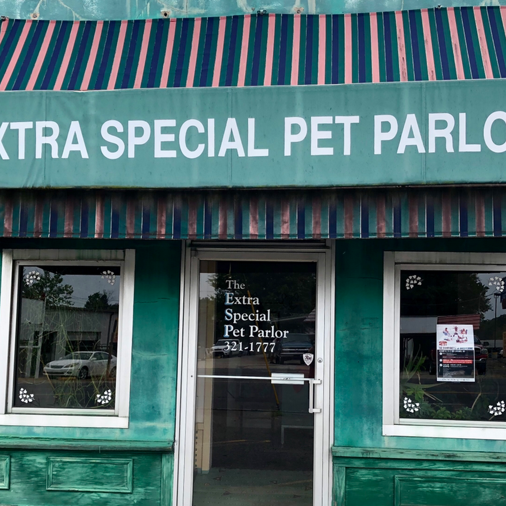 Extra Special Pet Parlor Hot Springs