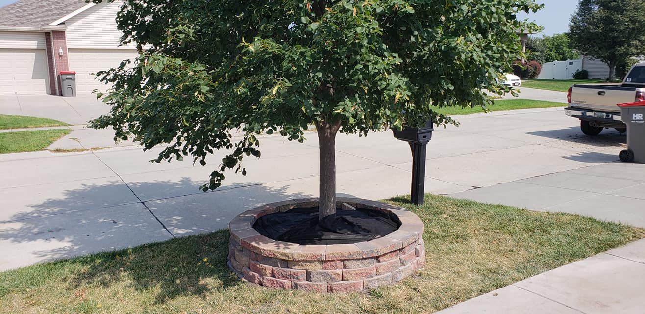 Double D Landscaping & Lawncare