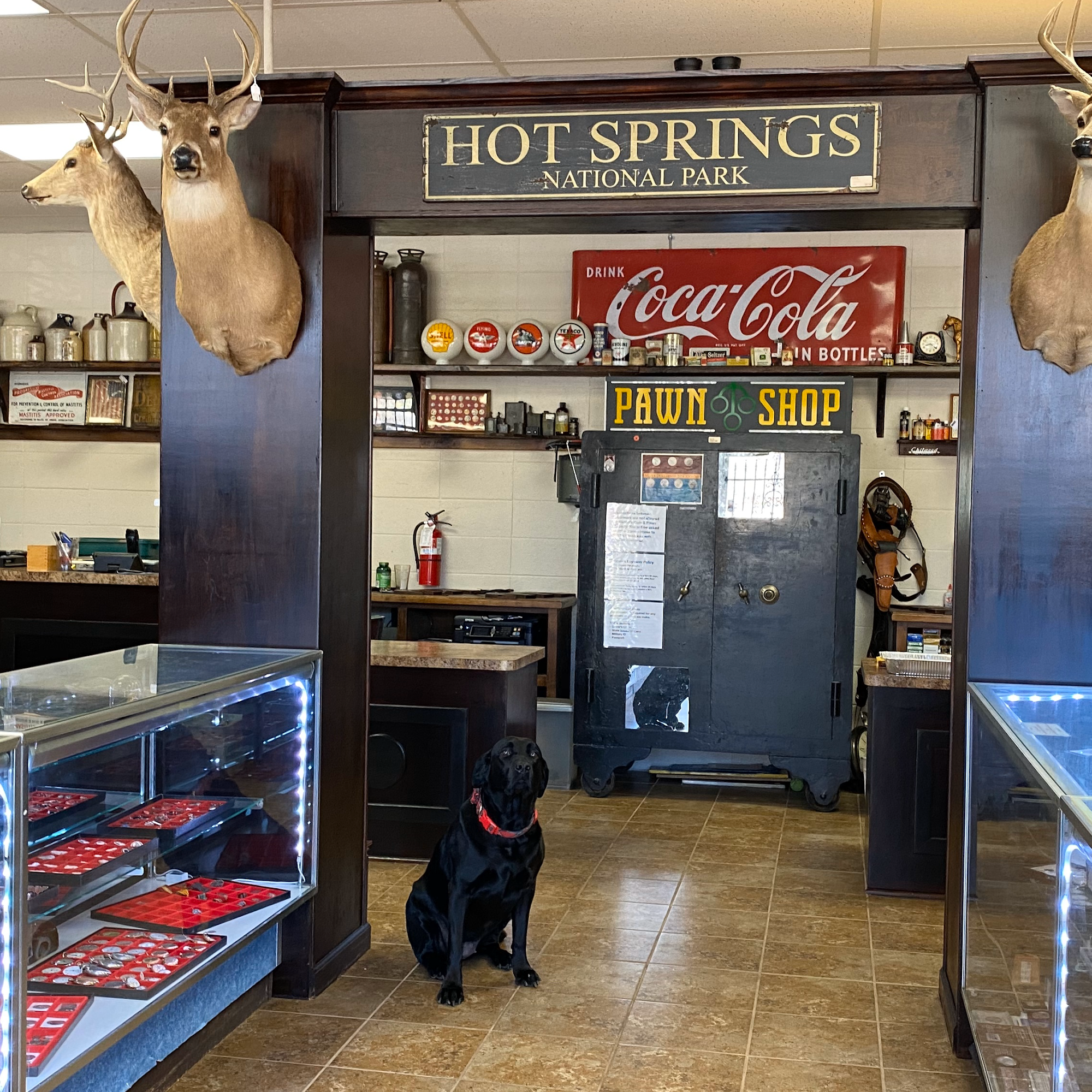 Mason's Coin & Pawn Hot Springs