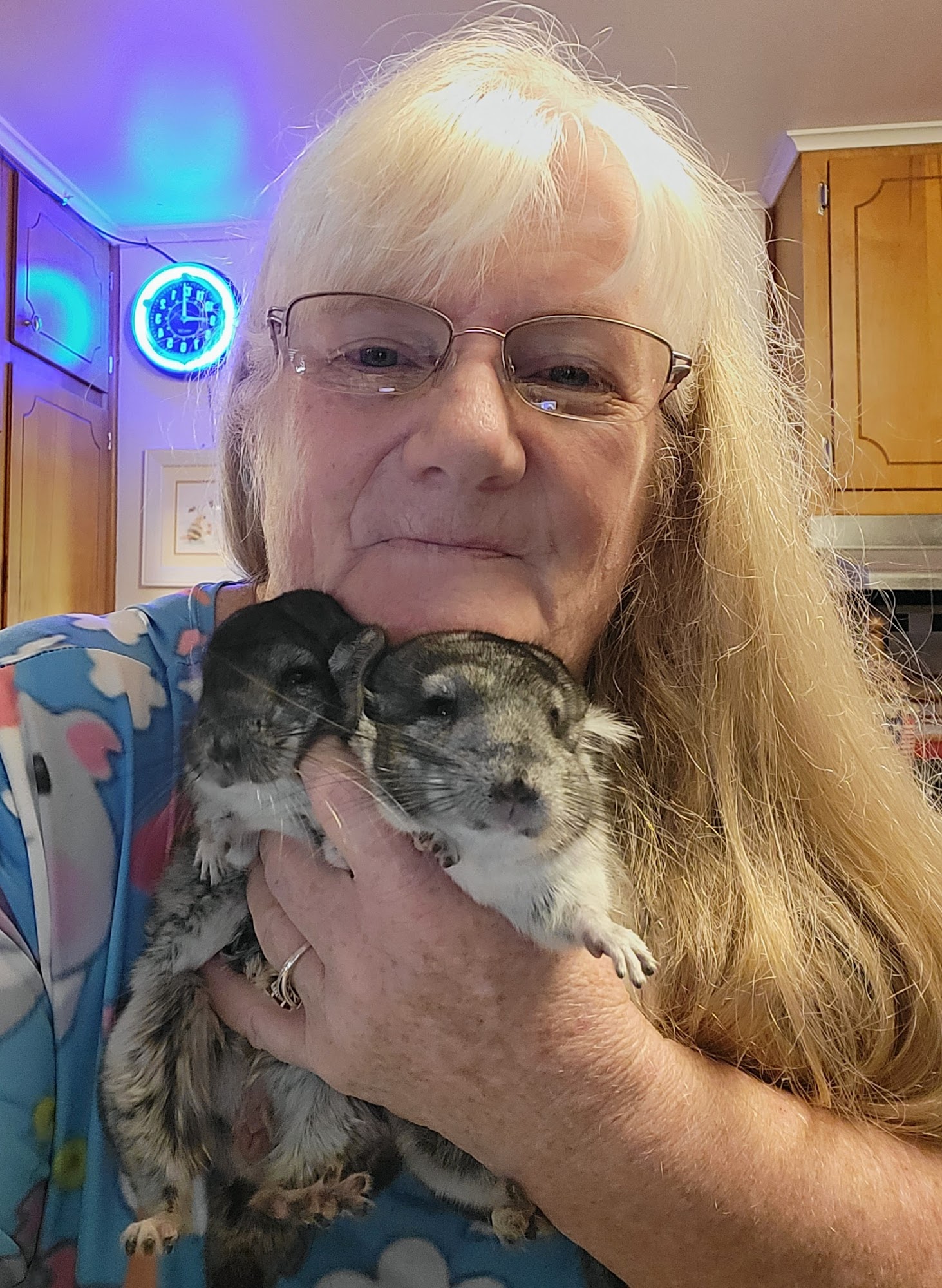 Petsense by Tractor Supply Jacksonville