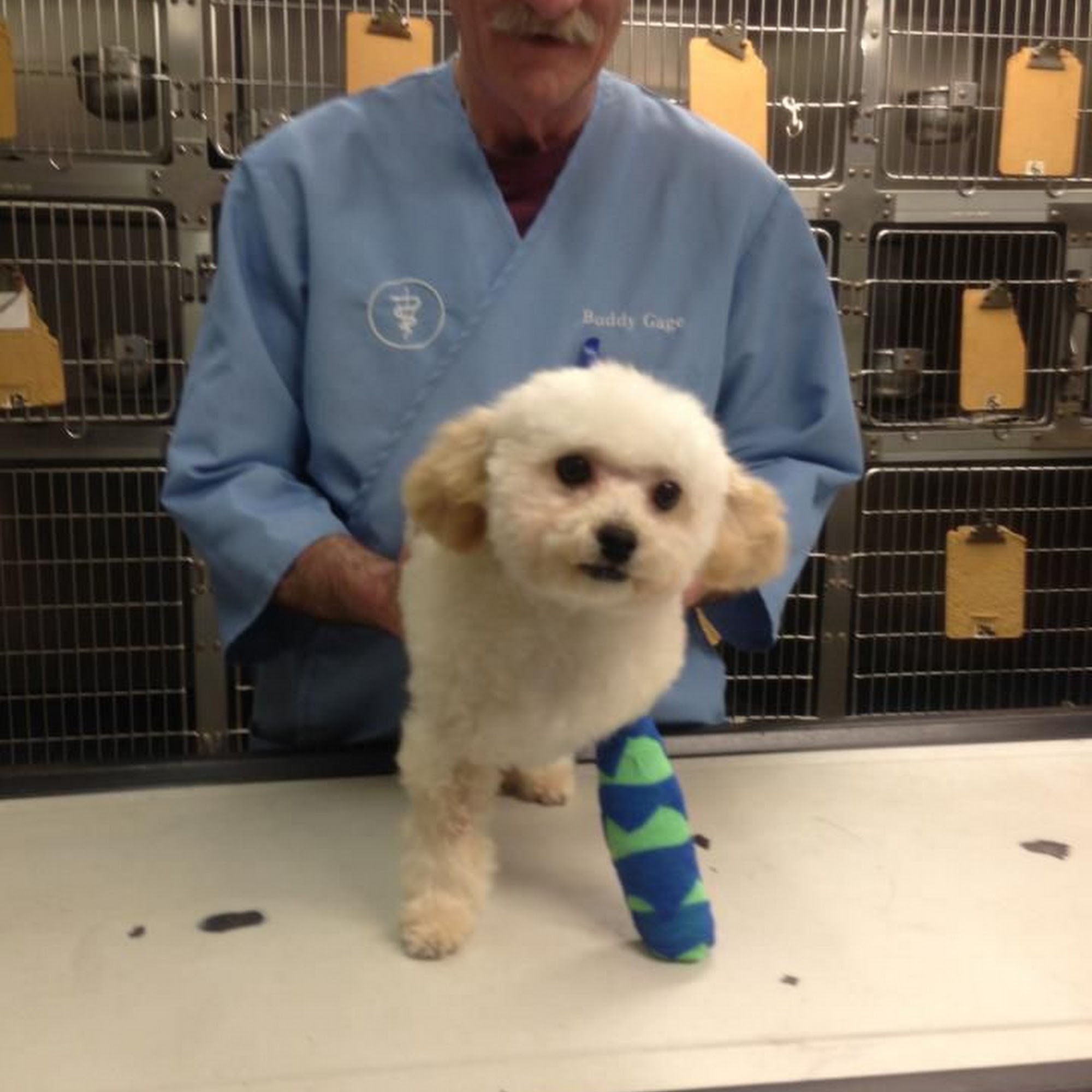 Animal Medical Center of Jonesboro Jonesboro