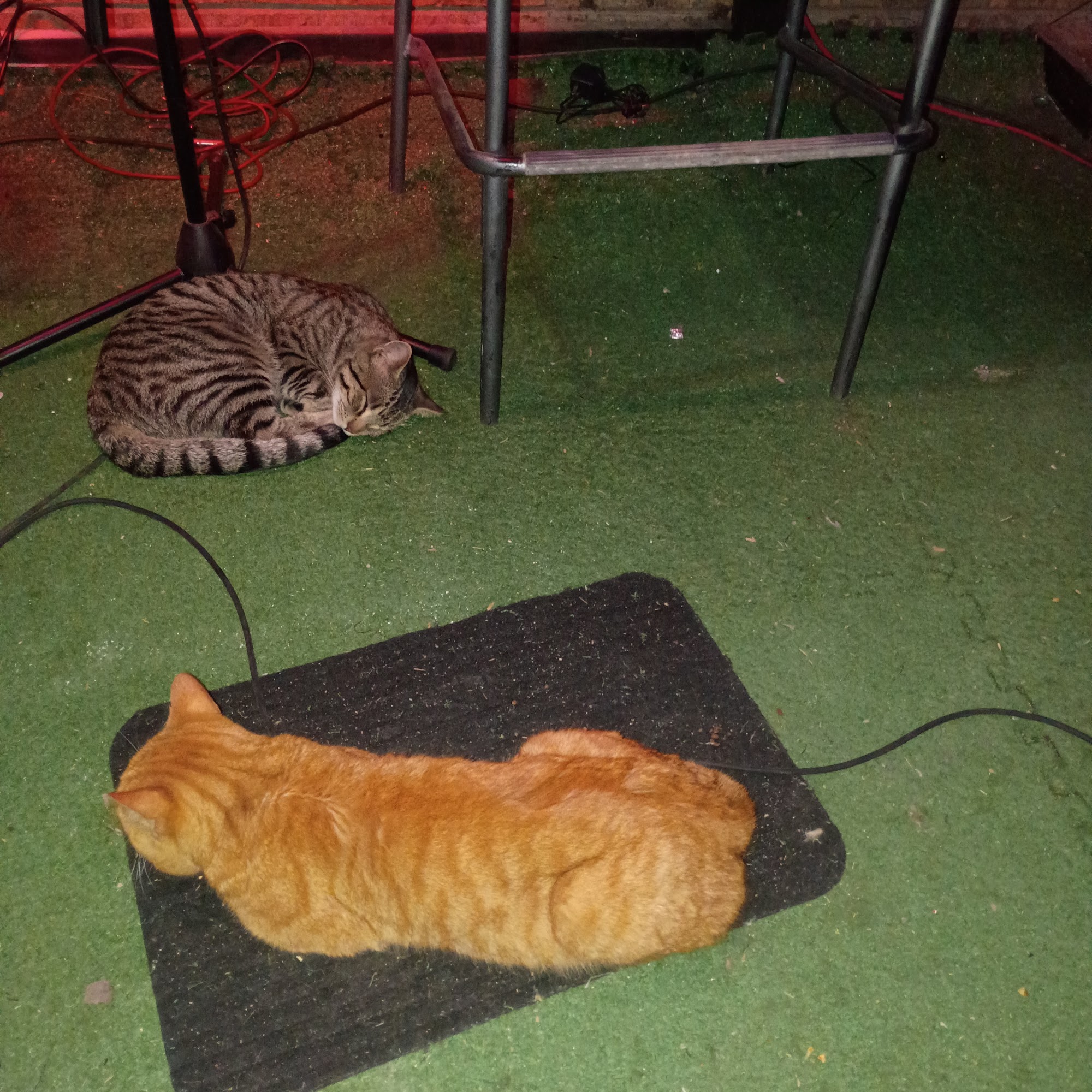 Vetcare Inc Jonesboro