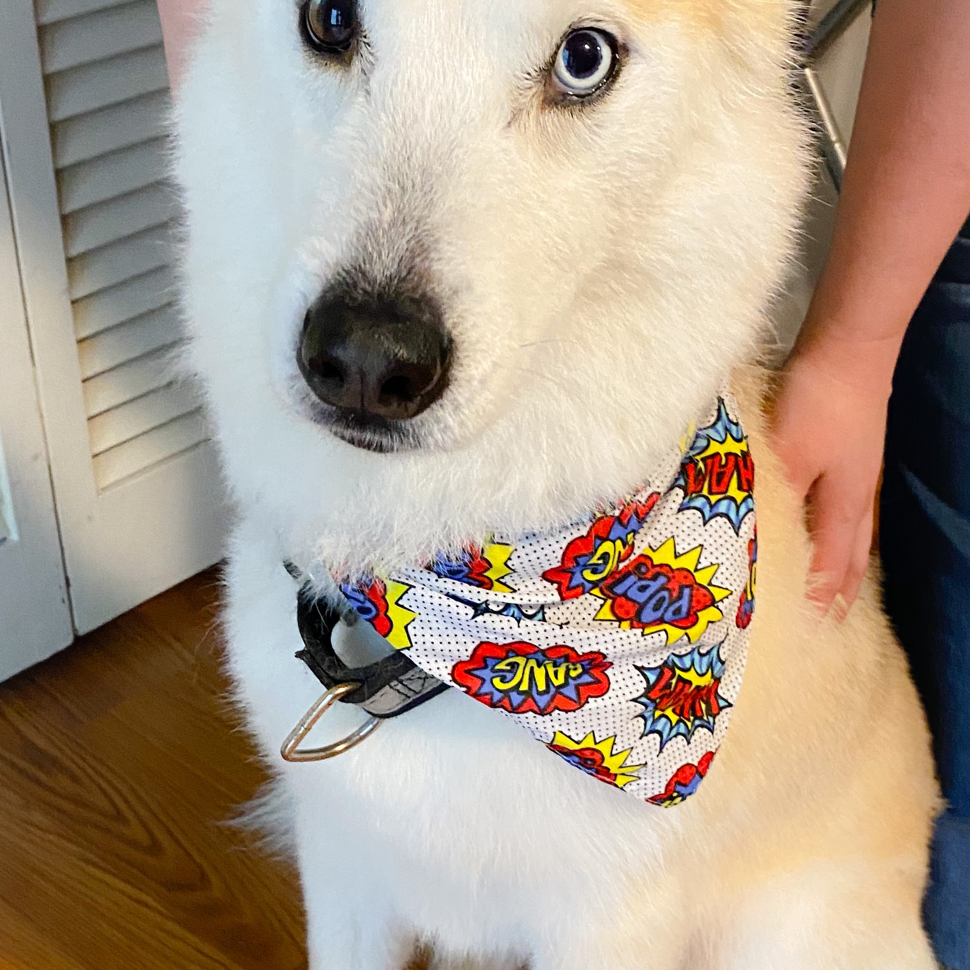 Christy's Cute Cuts Jonesboro