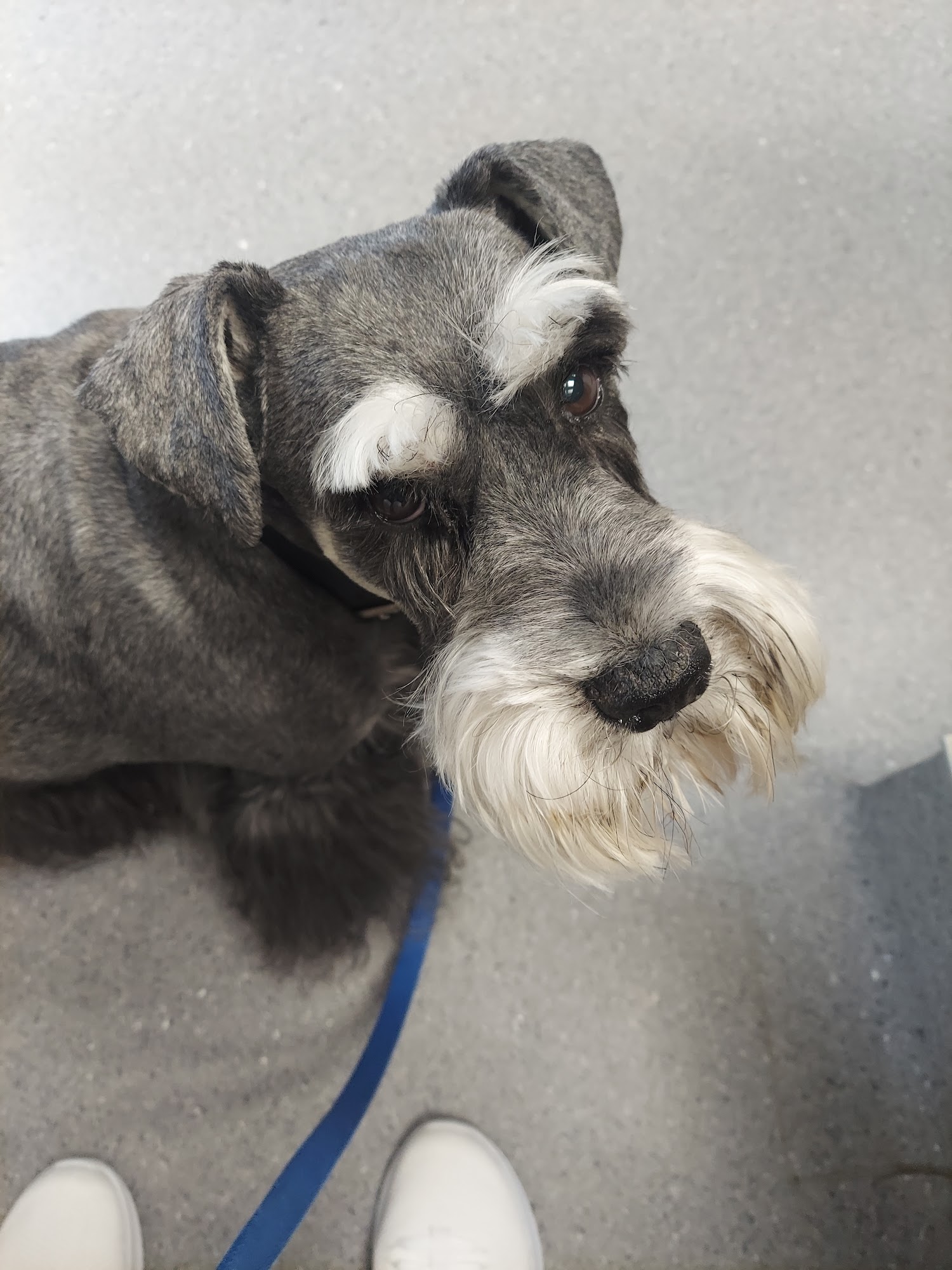 Hollywood Feed Little Rock