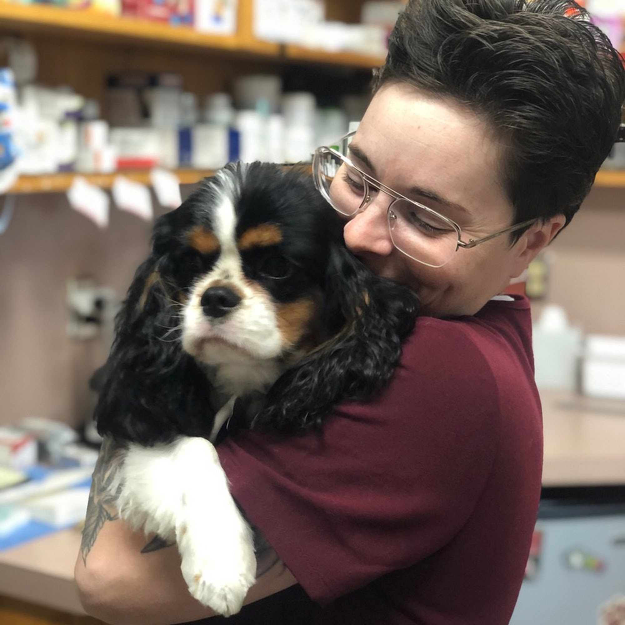 Cantrell Animal Clinic Little Rock