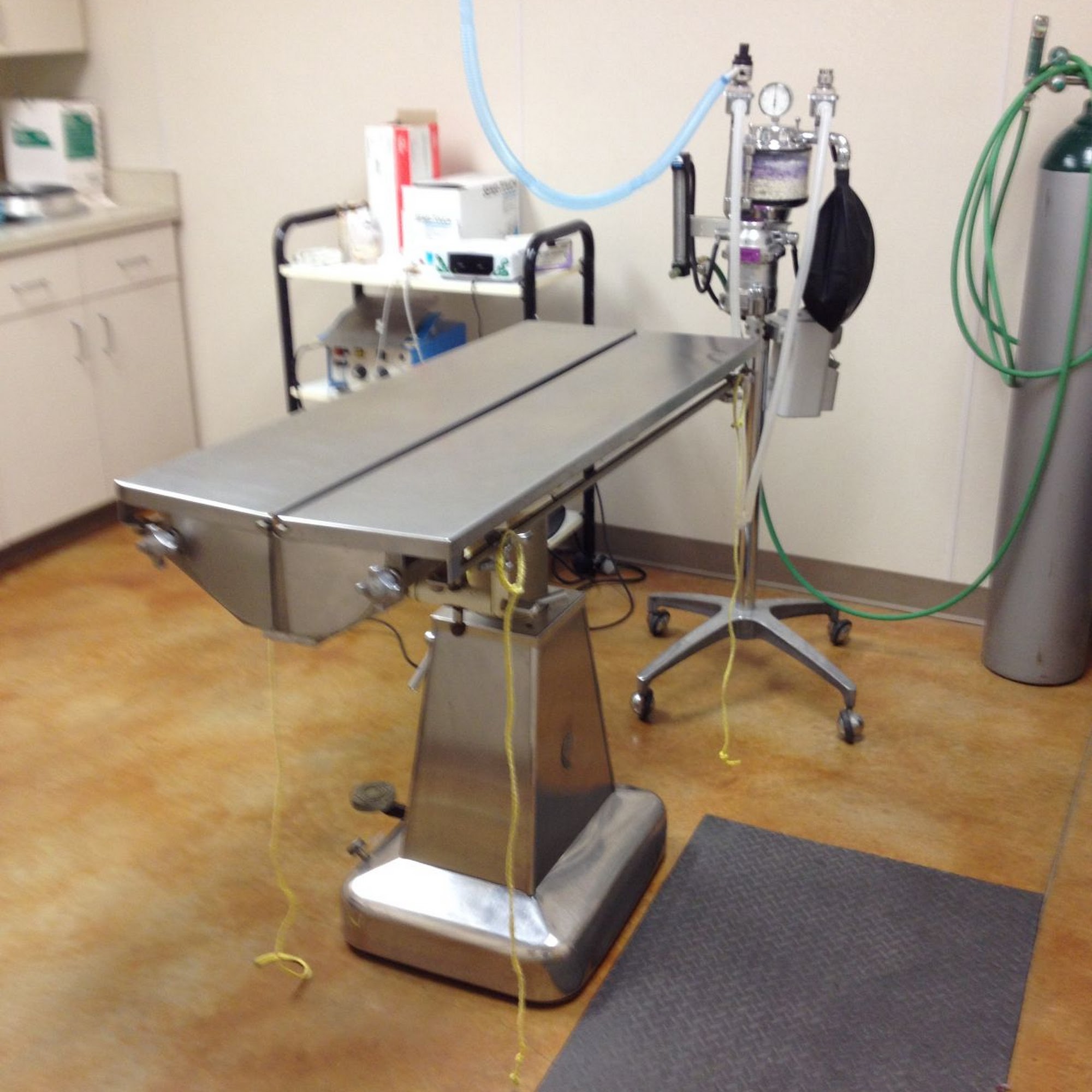 Asher Animal Clinic Little Rock